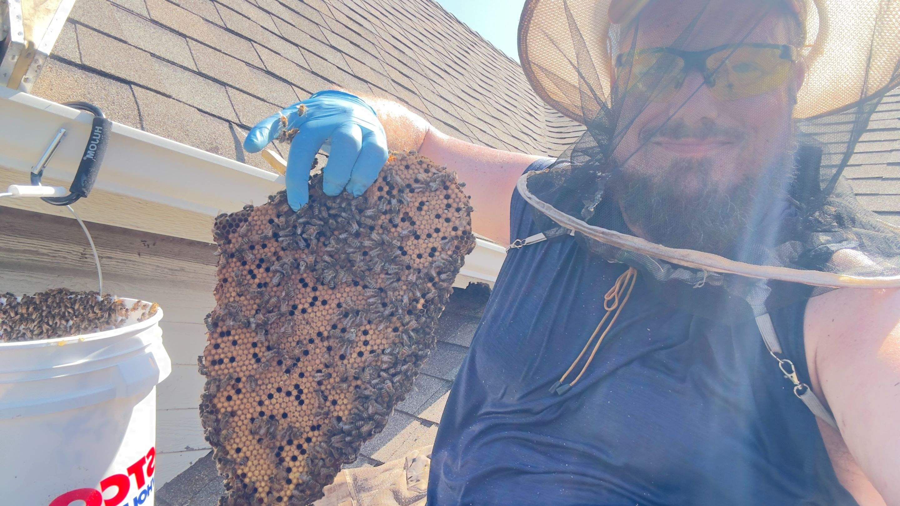 Rooftop by Rockwall Honey Bee Company