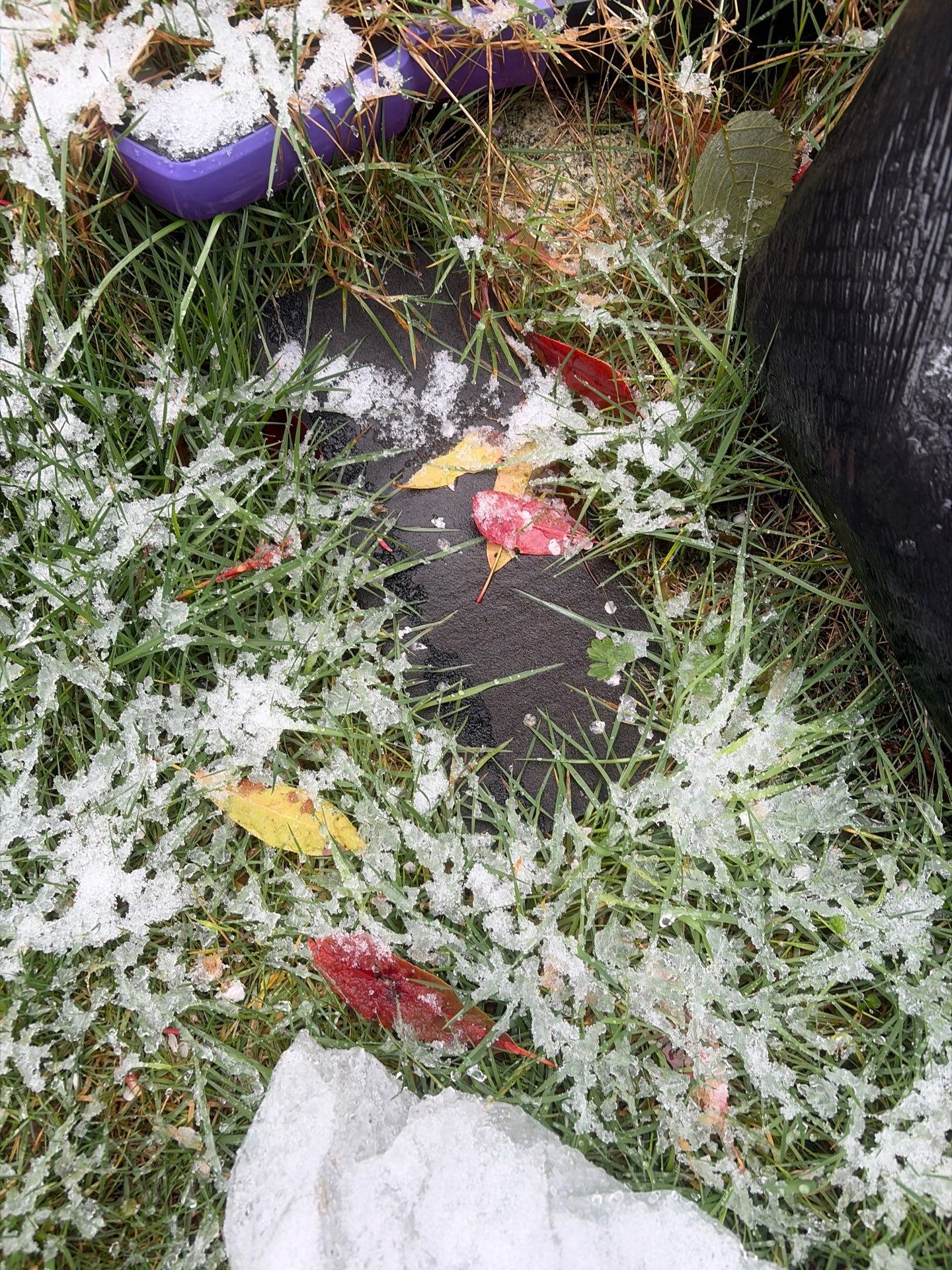 Roof in Lake Stevens by Connolly Construction Company