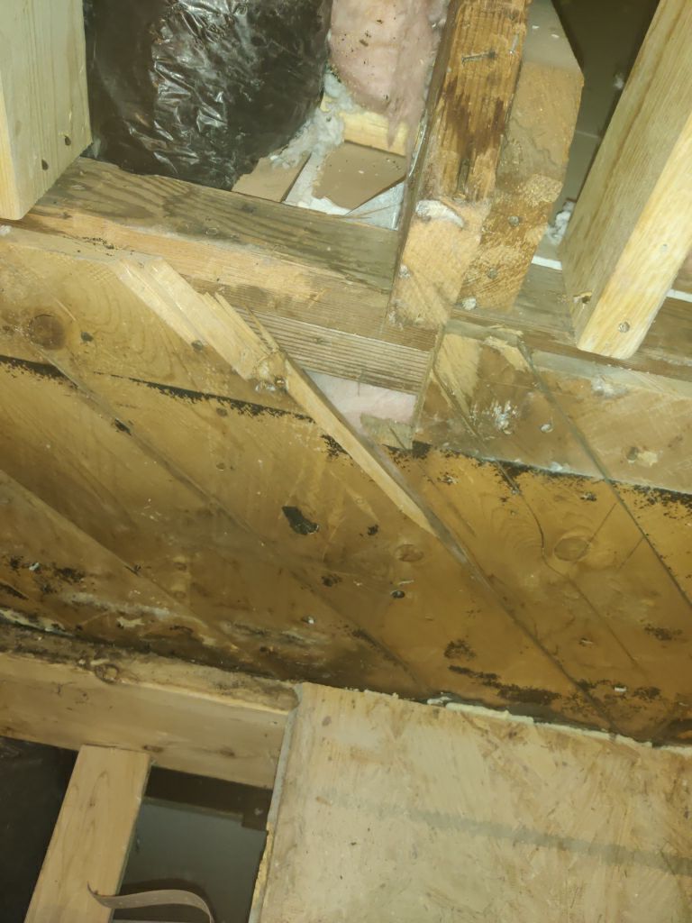 Mold Remediation in Bathroom by Accountable Home Services