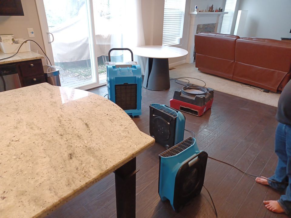 Project in South Lyon by EzDry Water Mitigation & Property Restoration