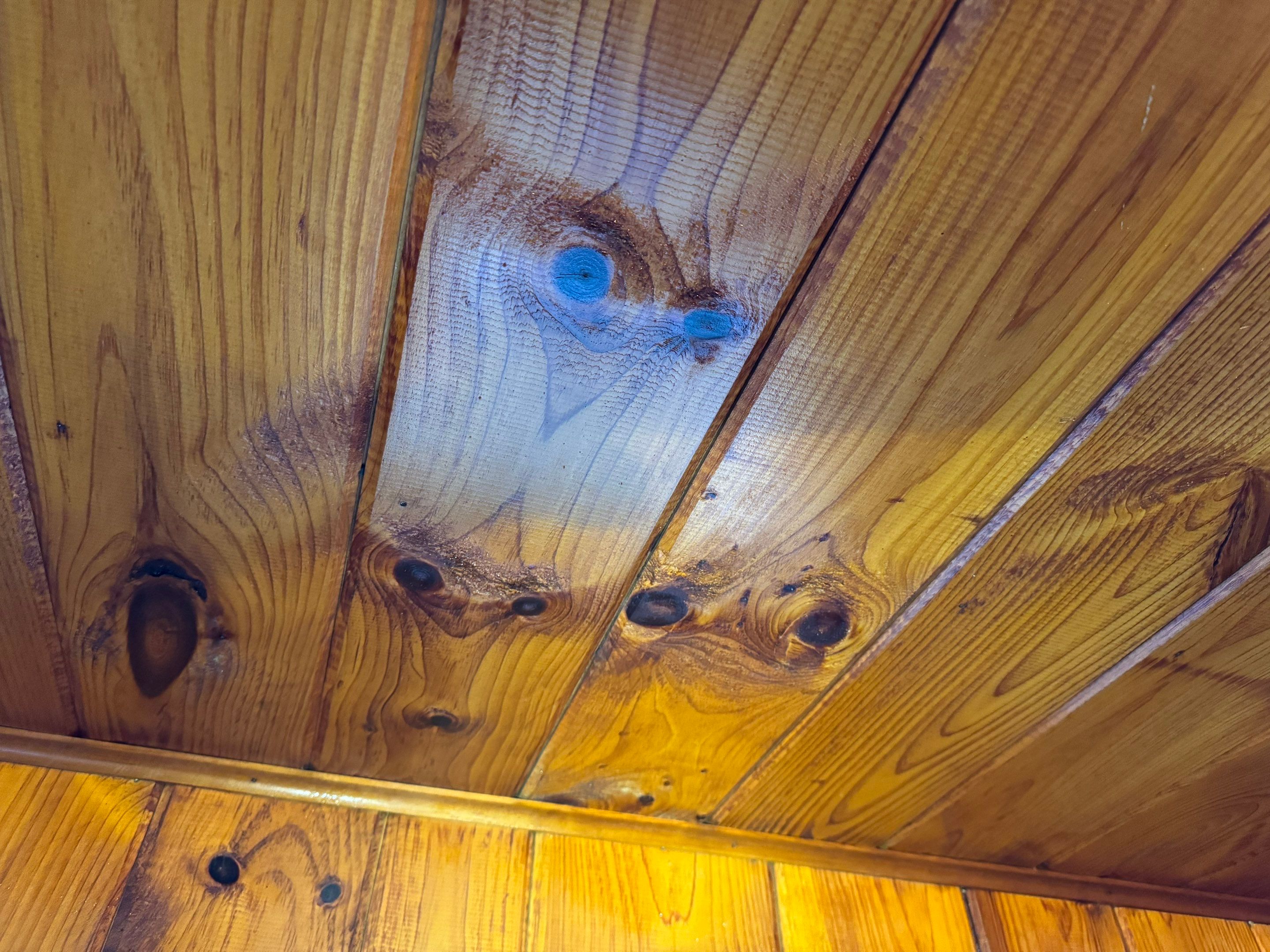 Entire Home Remediation by Home Guarantee, LLC