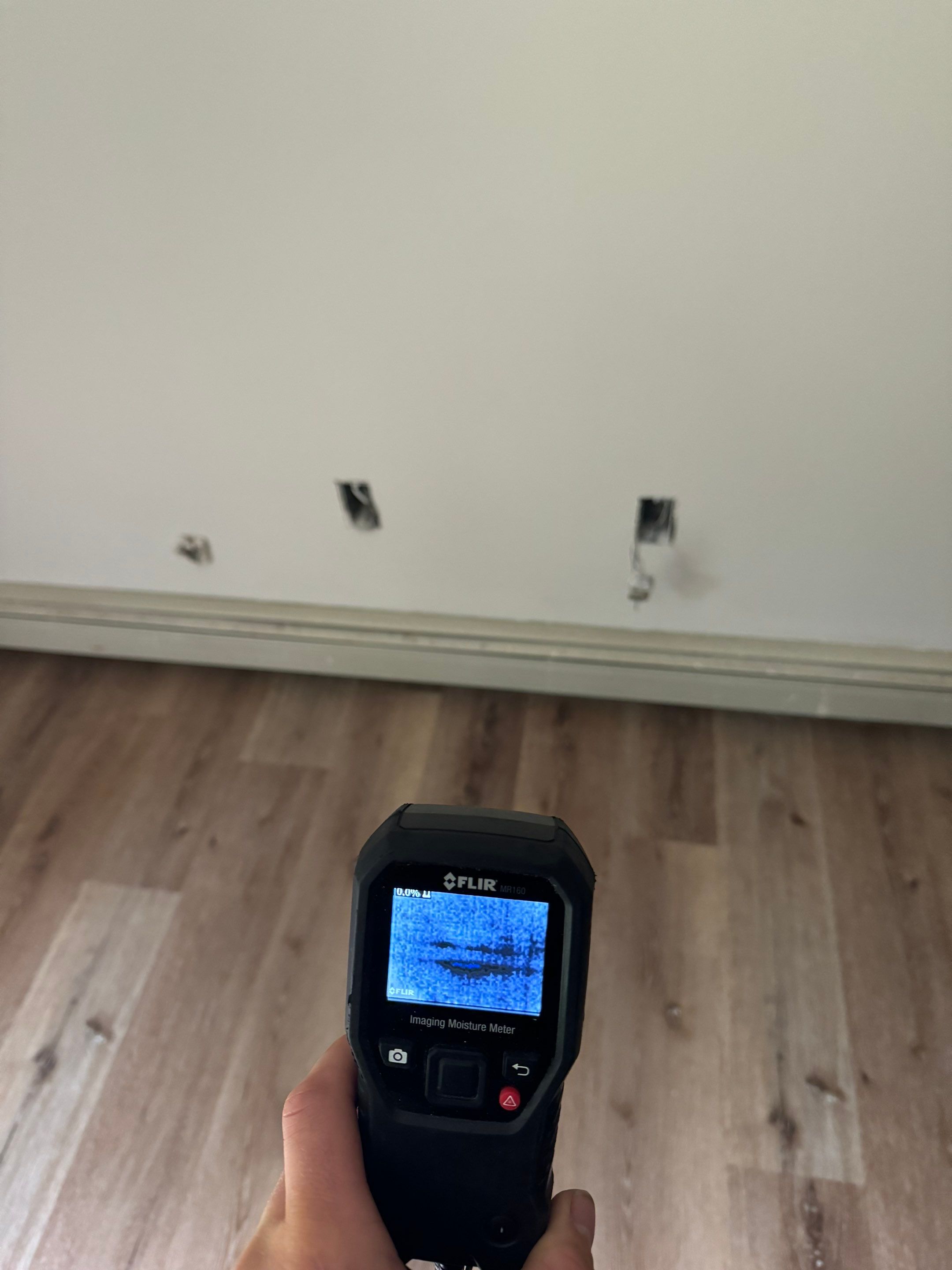 Basement & Livingroom Remediation by Home Guarantee, LLC