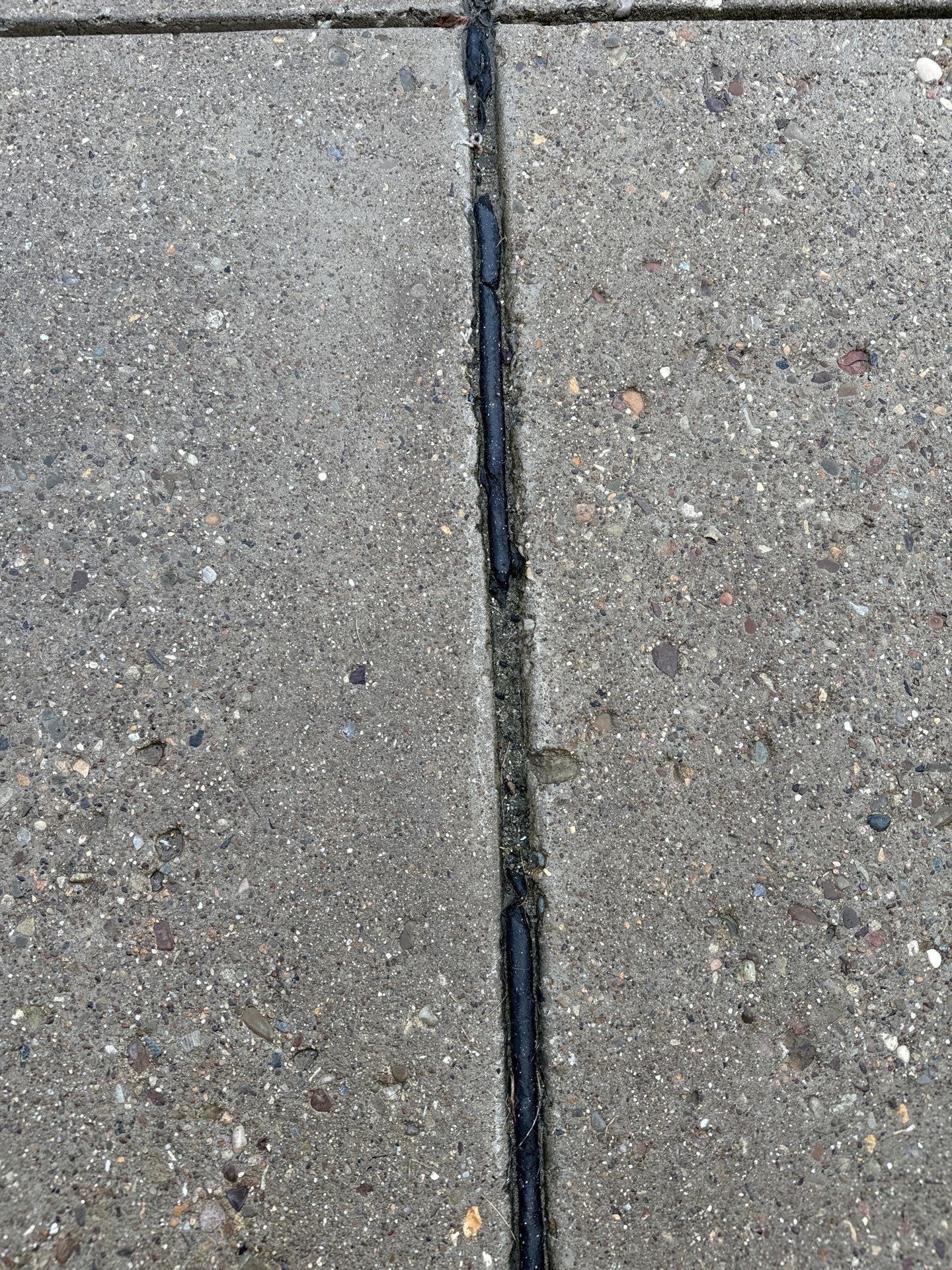 Driveway + Garage + Walkway Project in Meridian by Floors in a Day, Inc