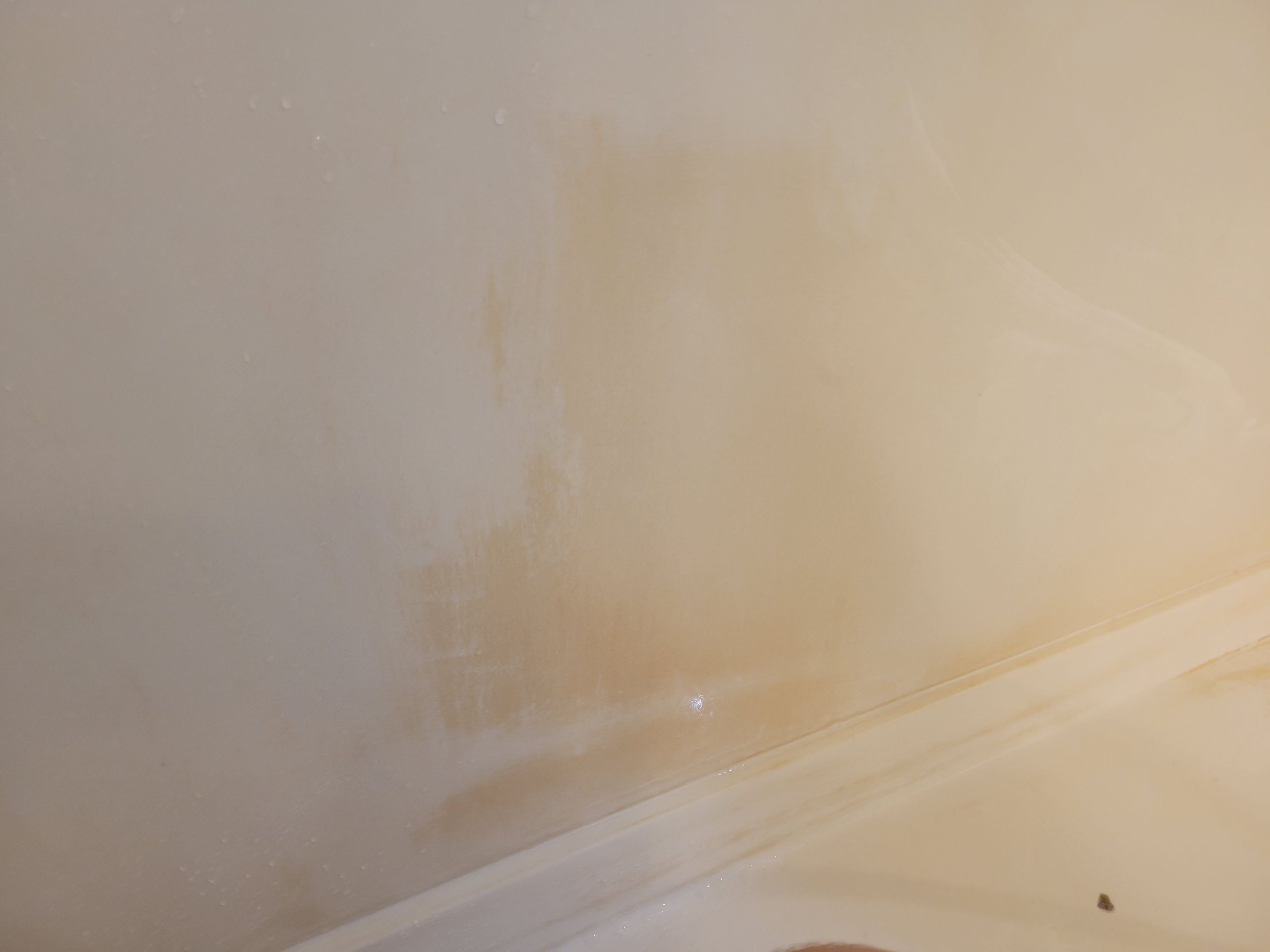 Ardent Carpet Restore LLC featured photo.