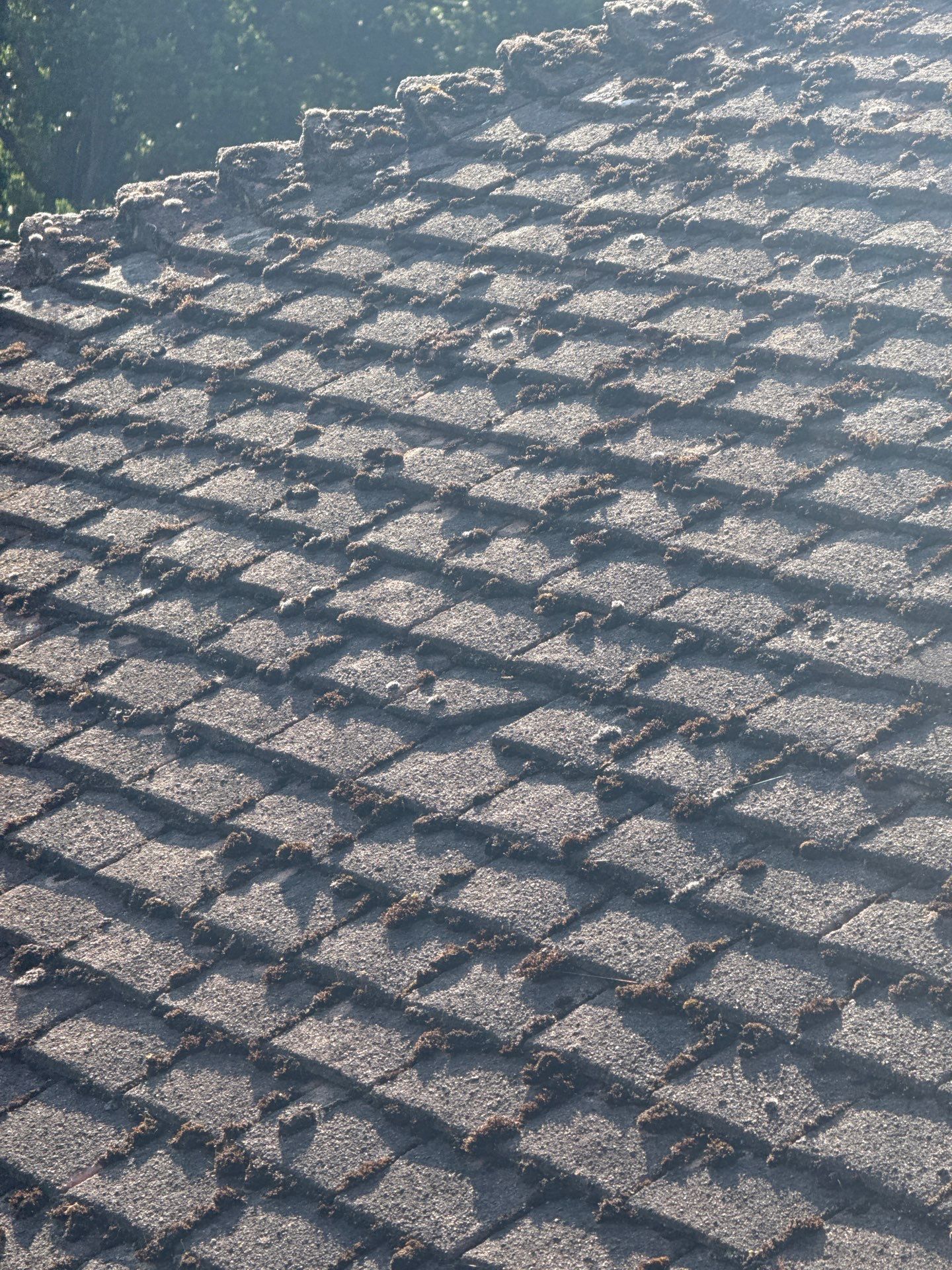 Roof Clean - Gutter Clean - Biocide Treatment by Ges Exterior Cleaning ltd