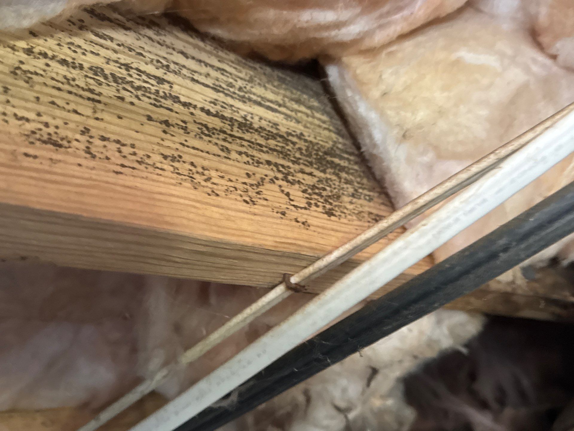 Project in Ivor by Patriot Crawl Space Repairs