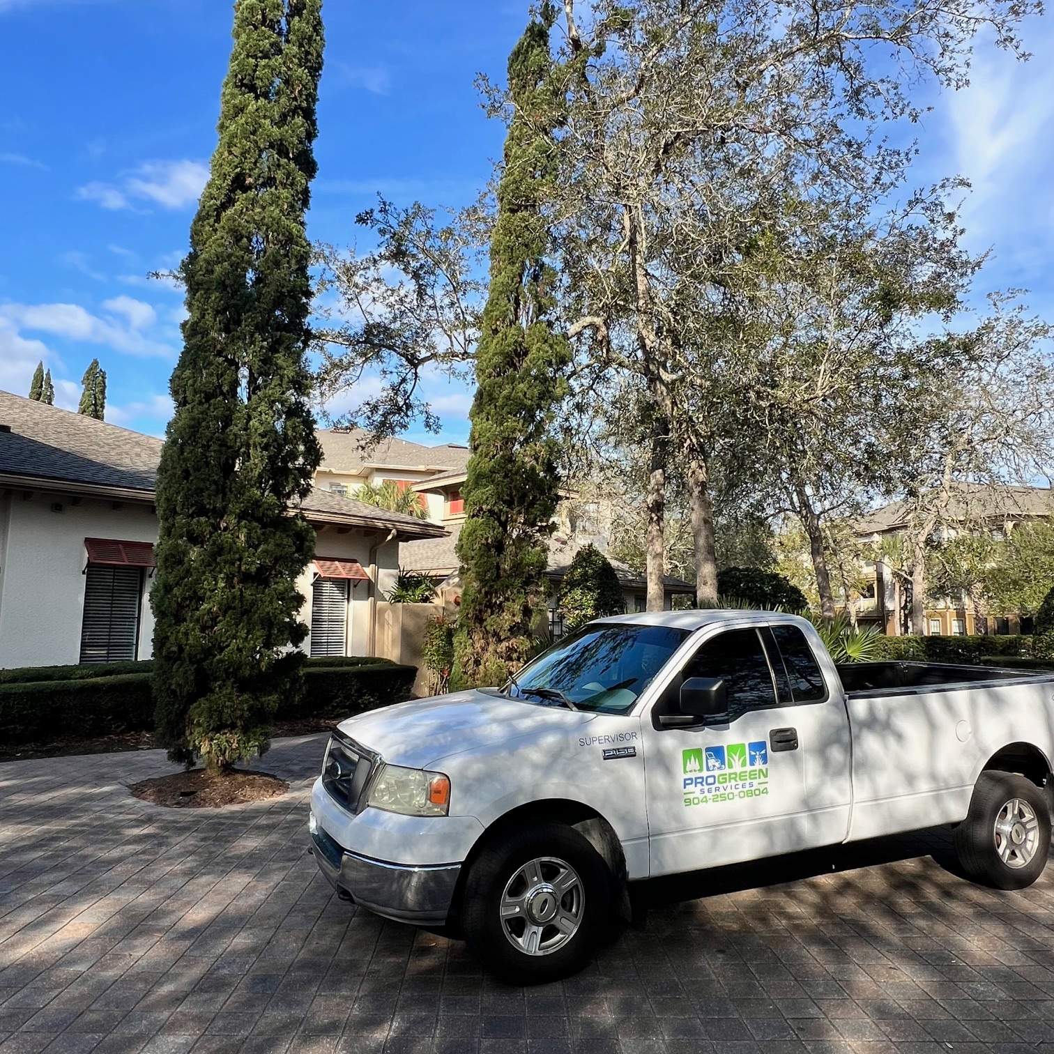 William's Walk | Italian Cypress Removal by ProGreen Services