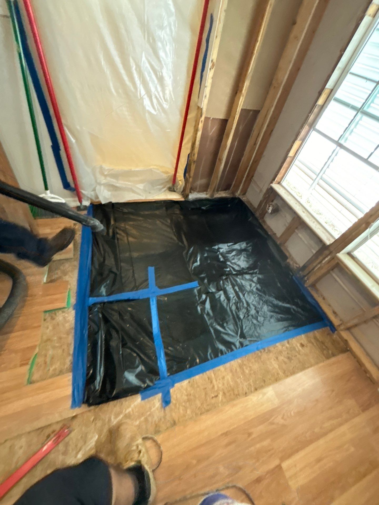 Mold Remediation Palmetto by Ampm Restoration Services 