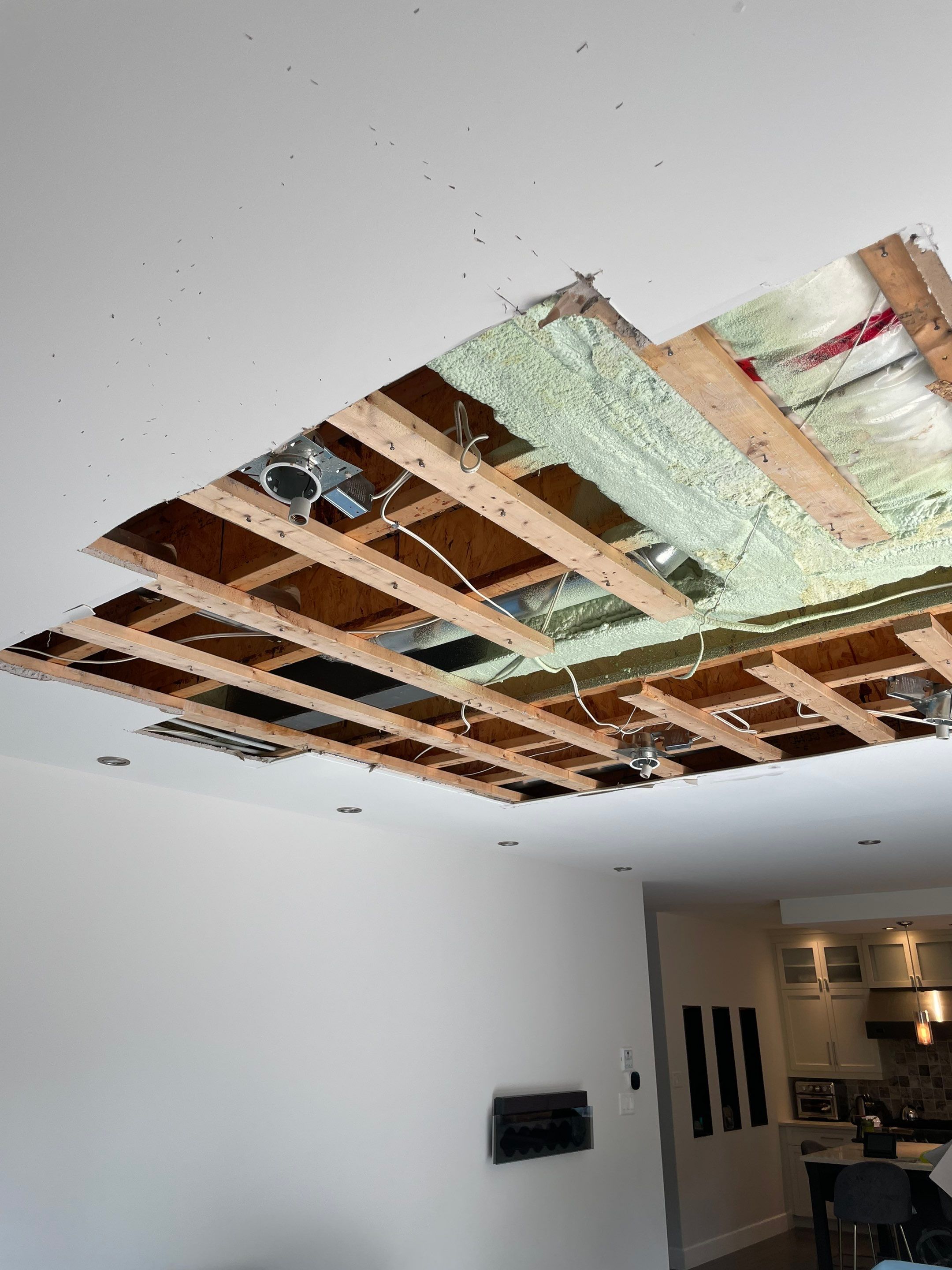 Water damage by Eco-Nature Construction Inc.