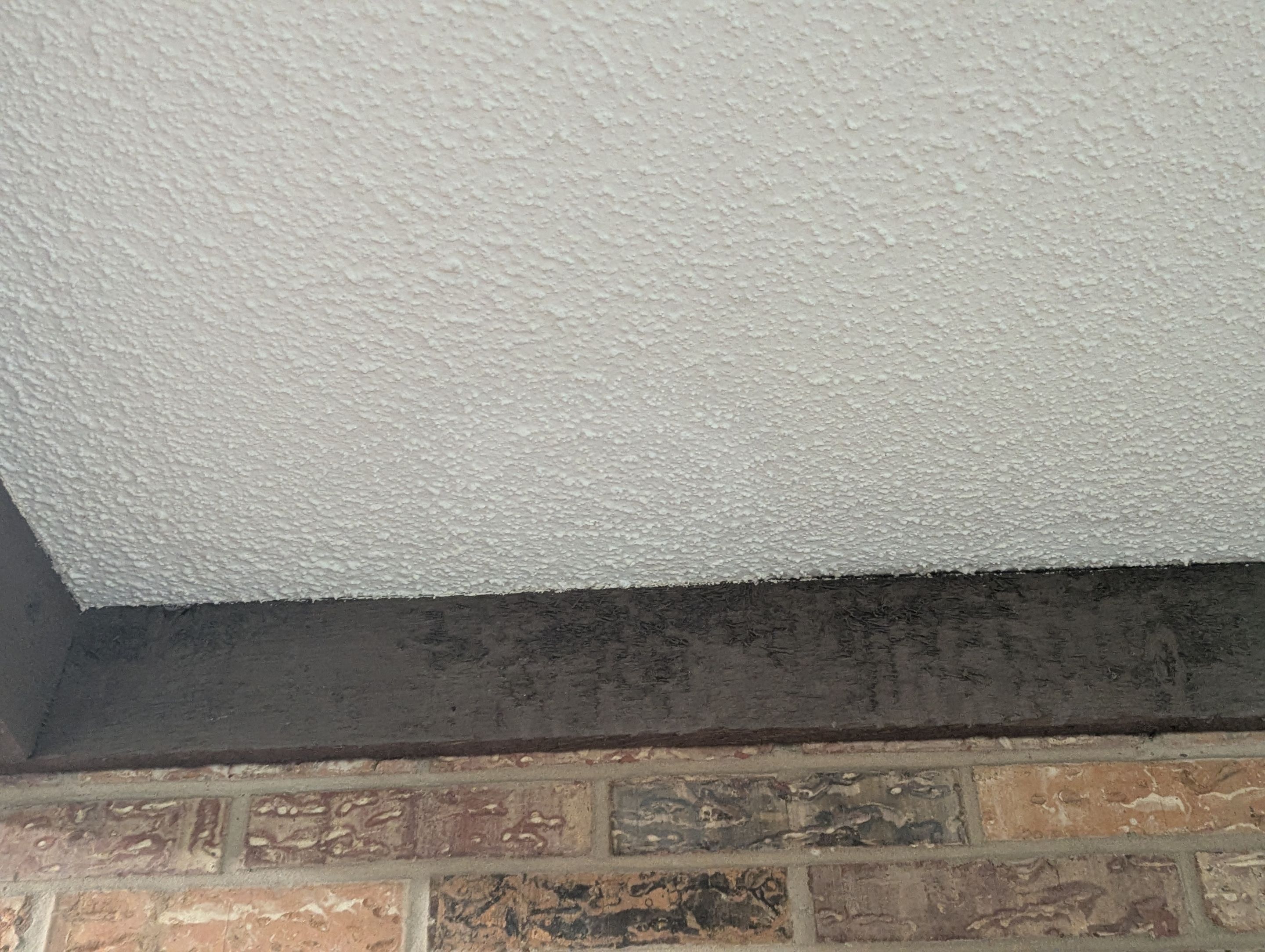 Fresh Color in Tyler TX by Quality Coats Painting