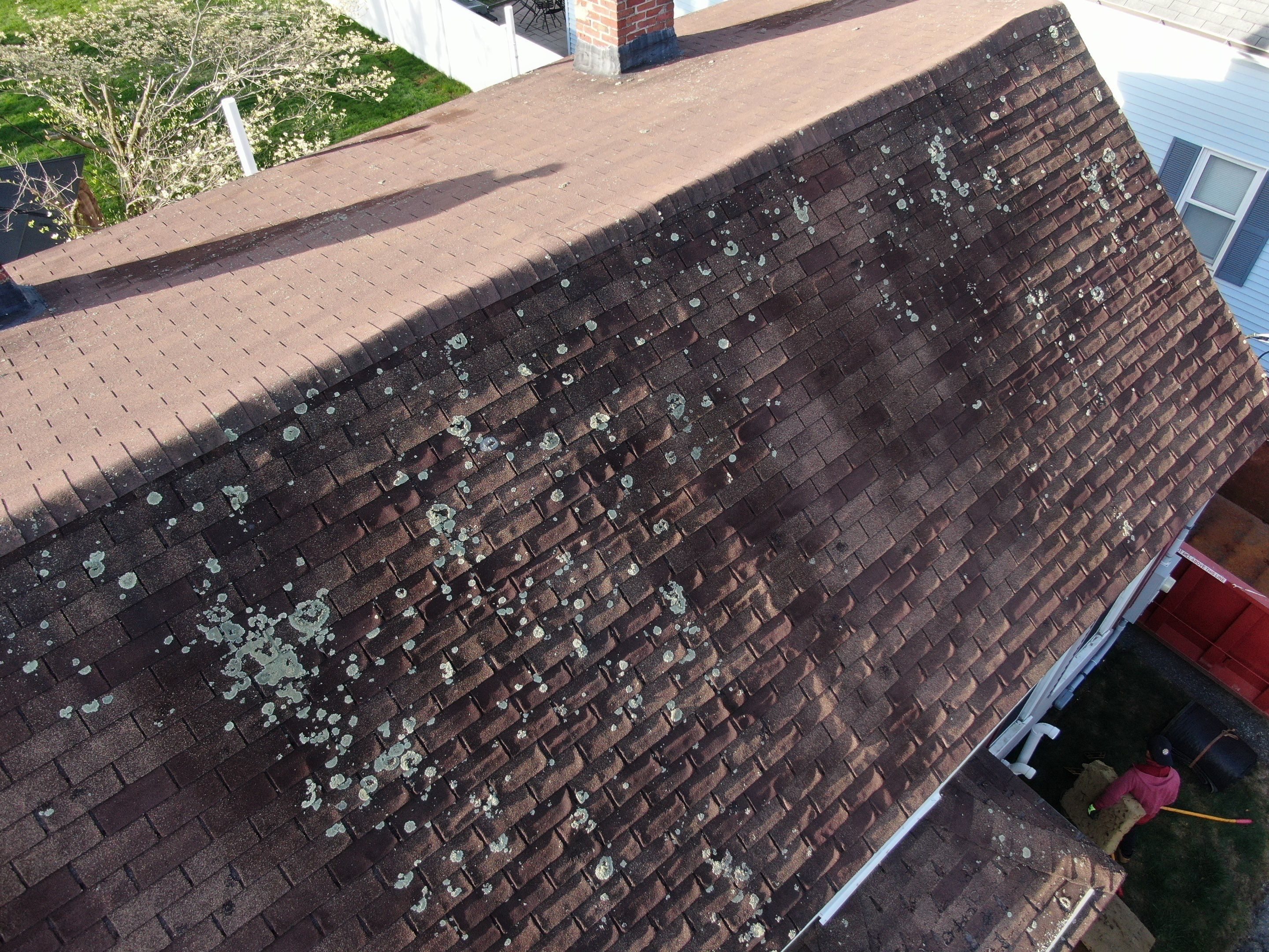 Roof Replacement with Owens Corning TruDefinition Shingles in Midnight Plum by Mighty Dog Roofing of Greater Middlesex County