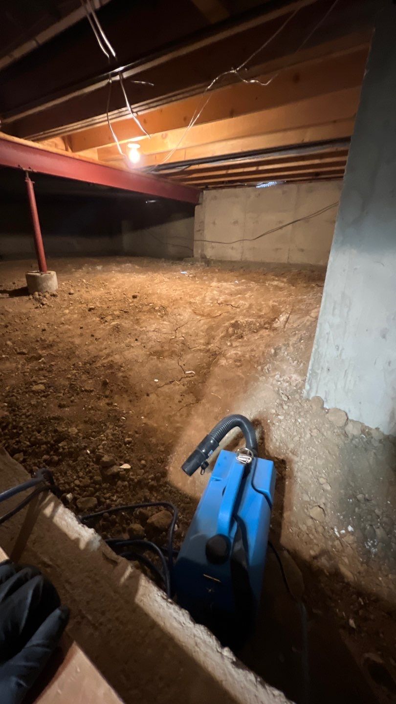 Mold Damage by Accountable Home Services