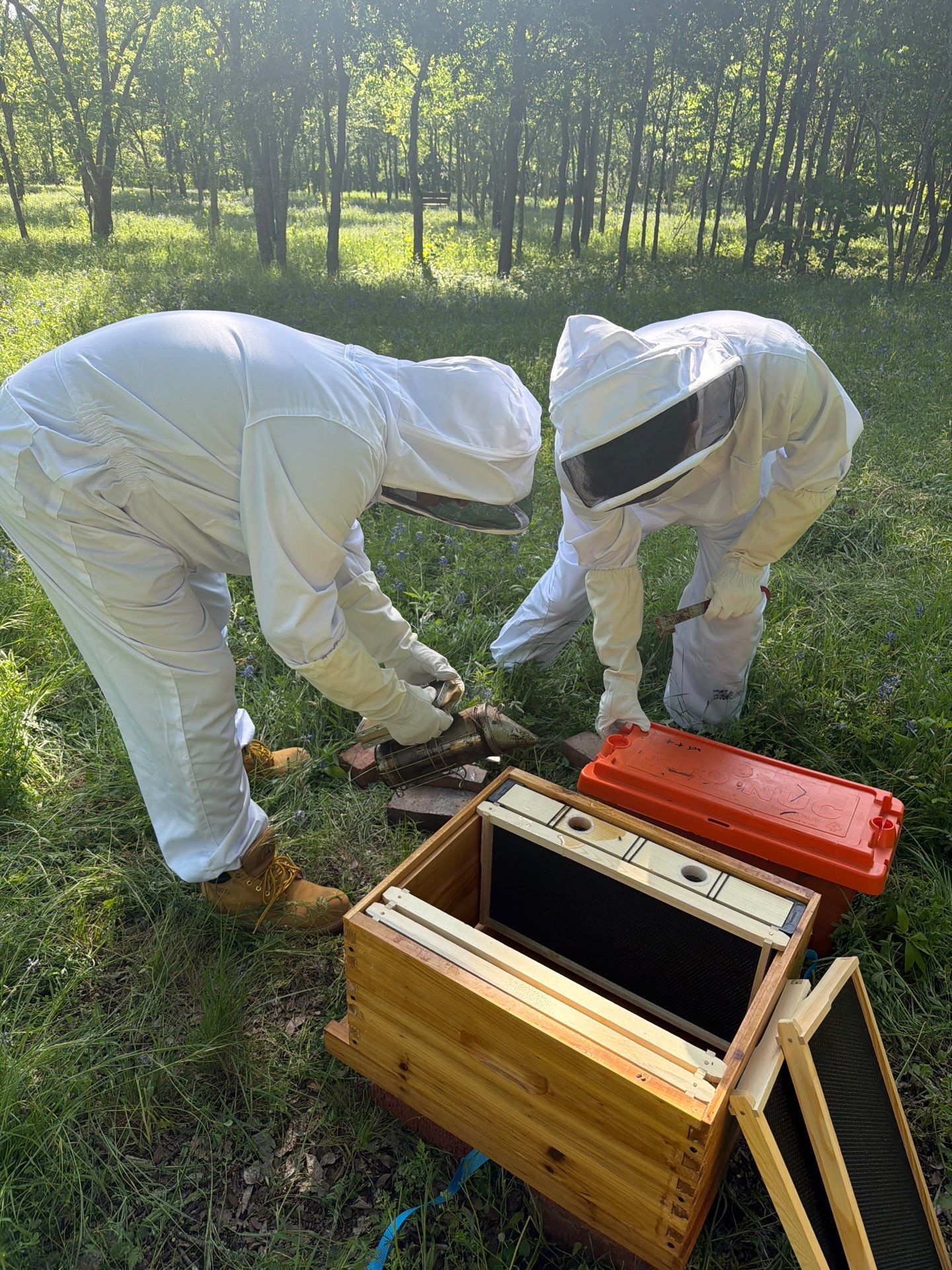 New Beekeeper in Maypearl by Rockwall Honey Bee Company