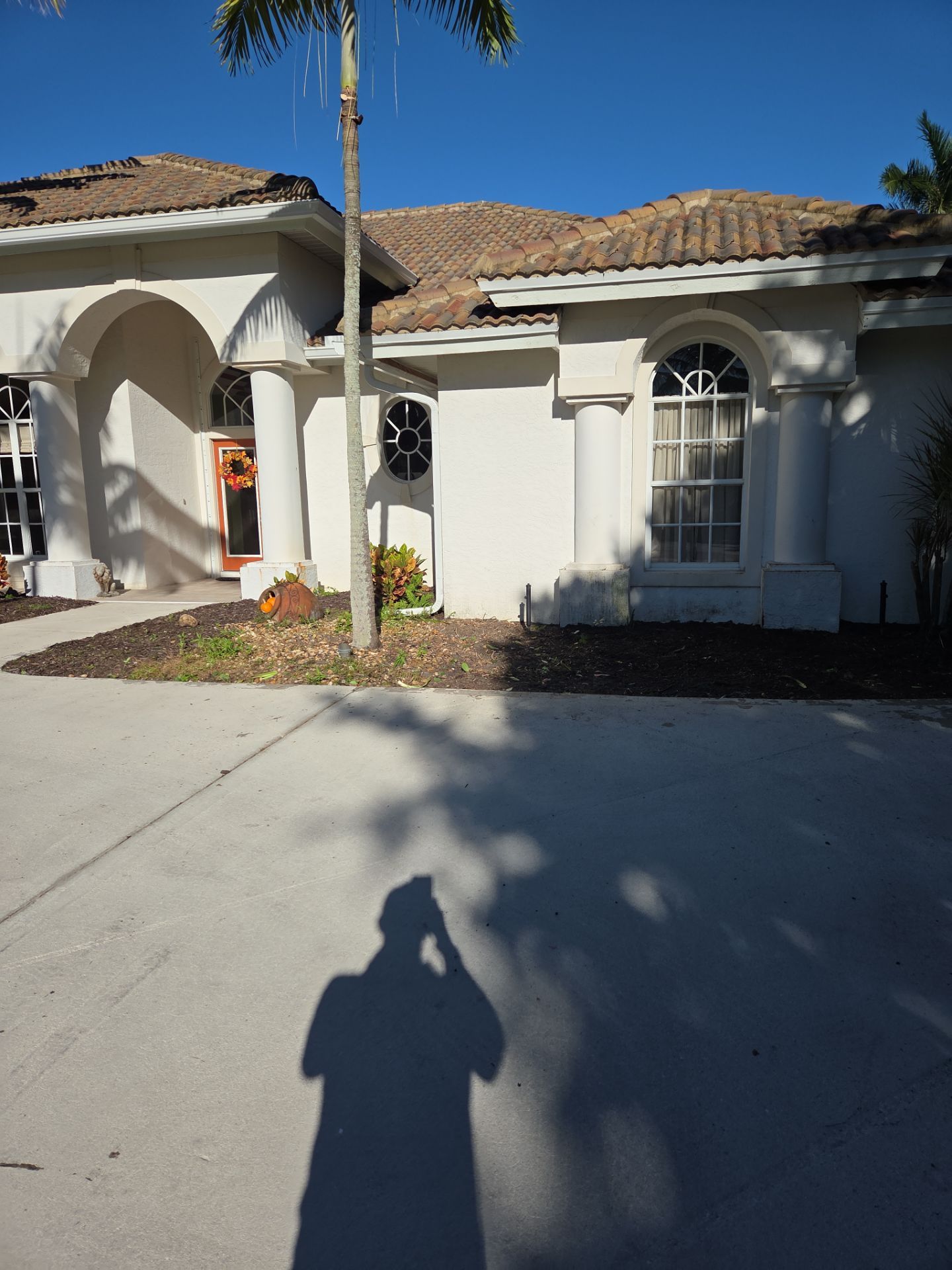 🌴 Landscape Removal and Install in Palm City by Alpha Zeta Enterprises Inc
