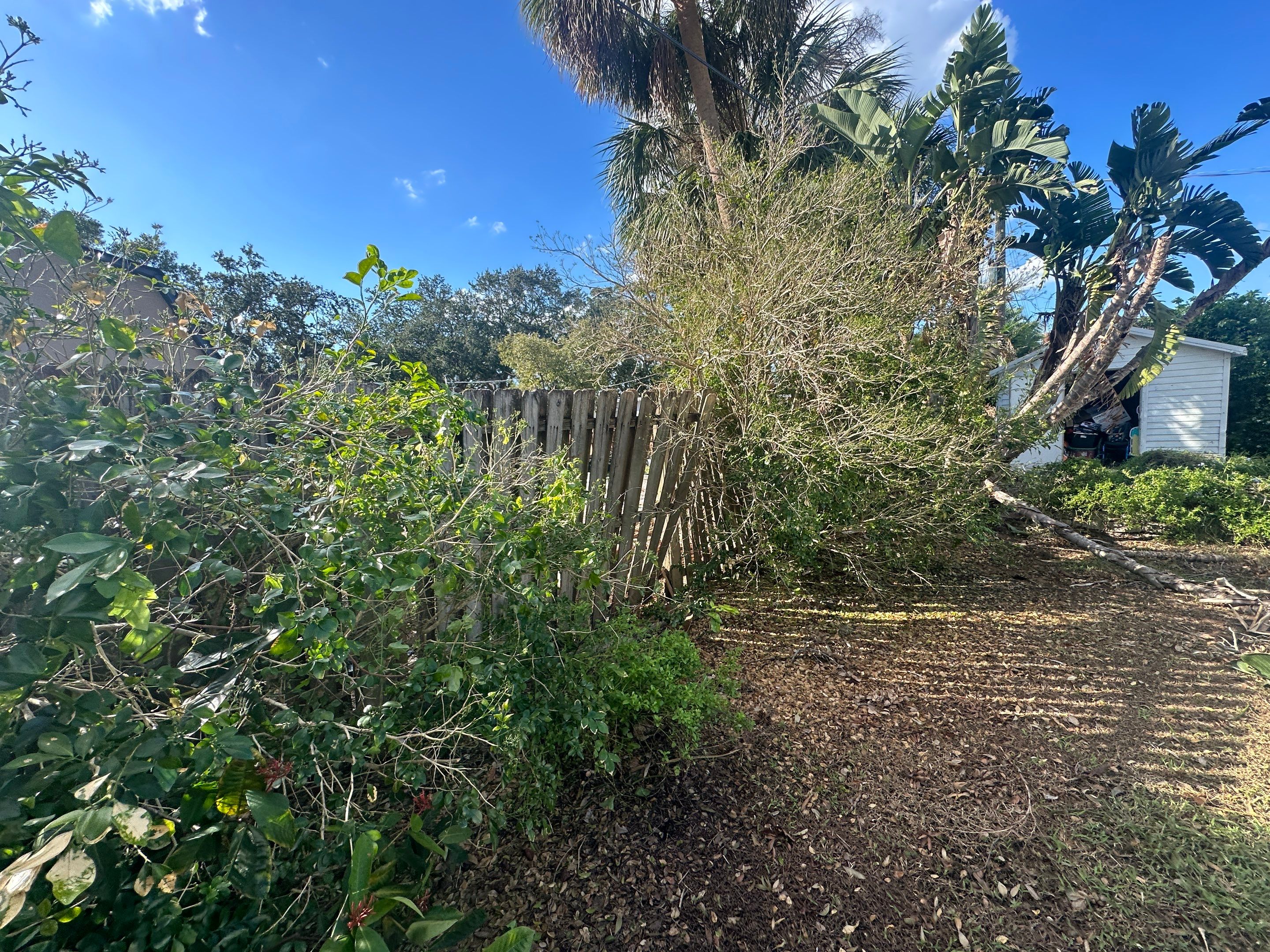 Flood Damage Claim in Tampa by FLAPA & KeyStone