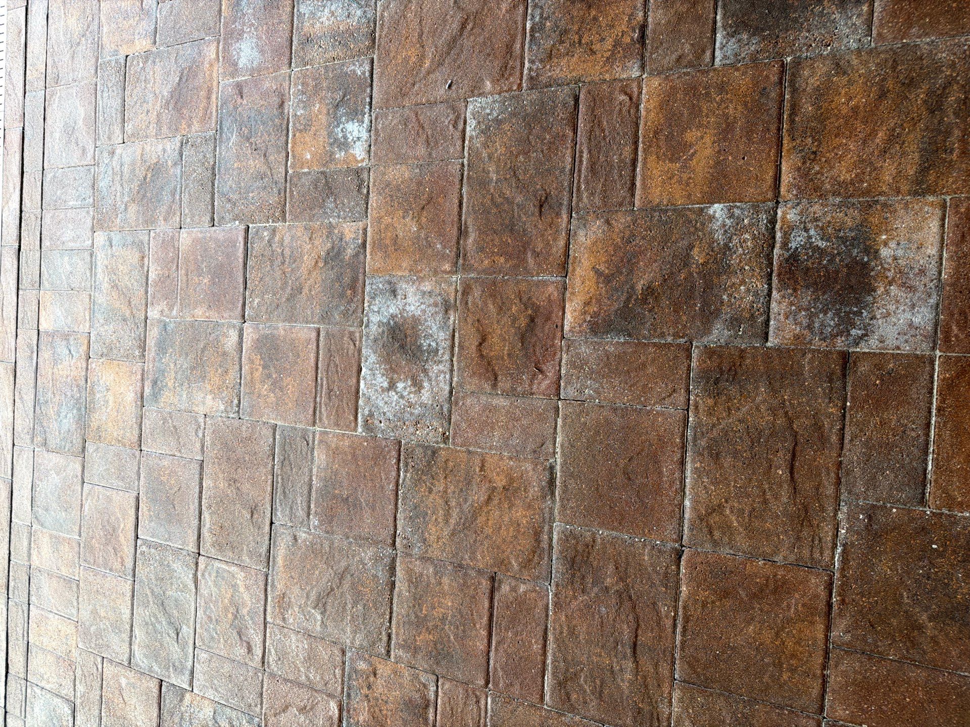 Paver Sealing and Striping for Sun City Center Pool Deck by Supreme Paver Experts