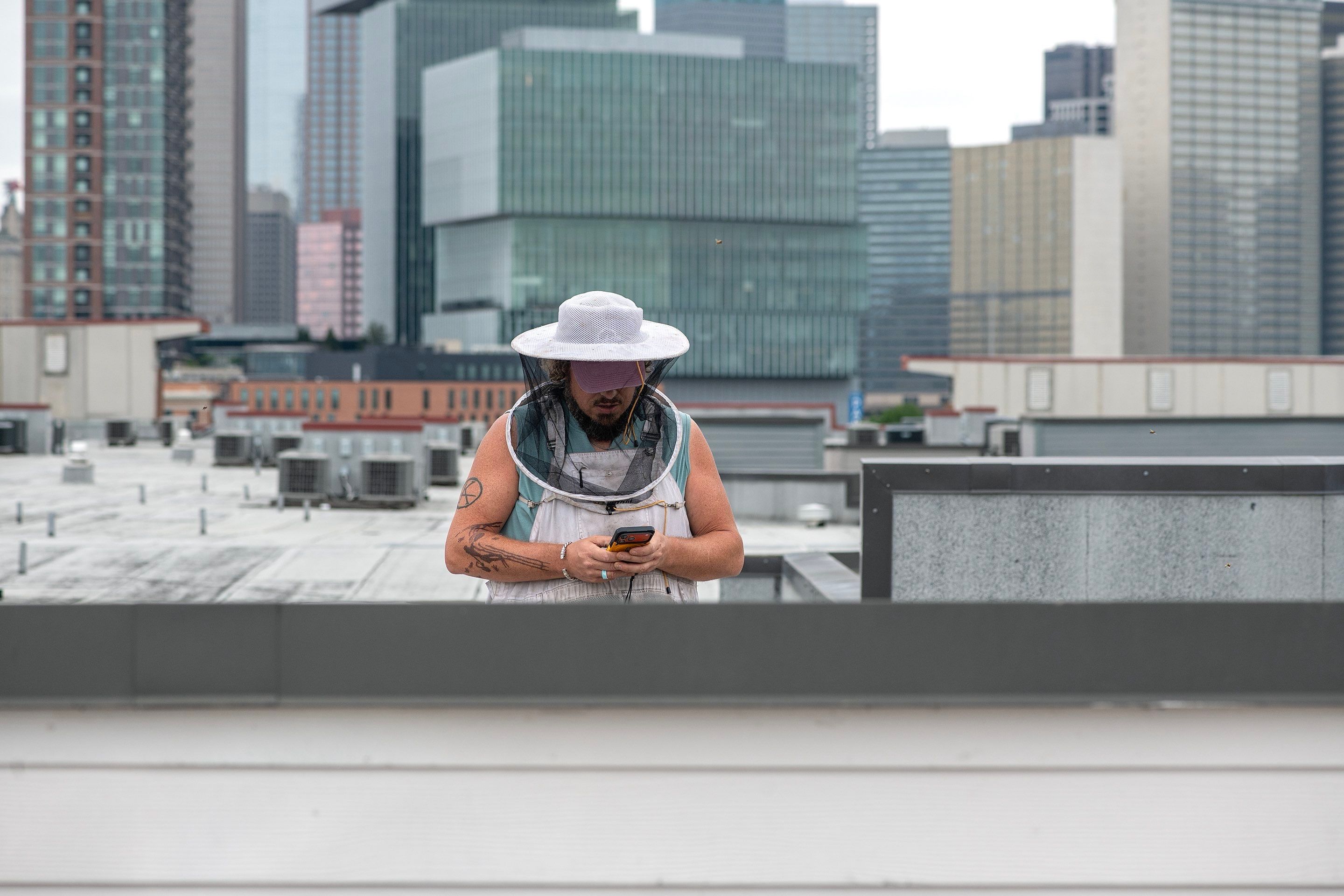 Urban Beekeeping in Dallas by Rockwall Honey Bee Company