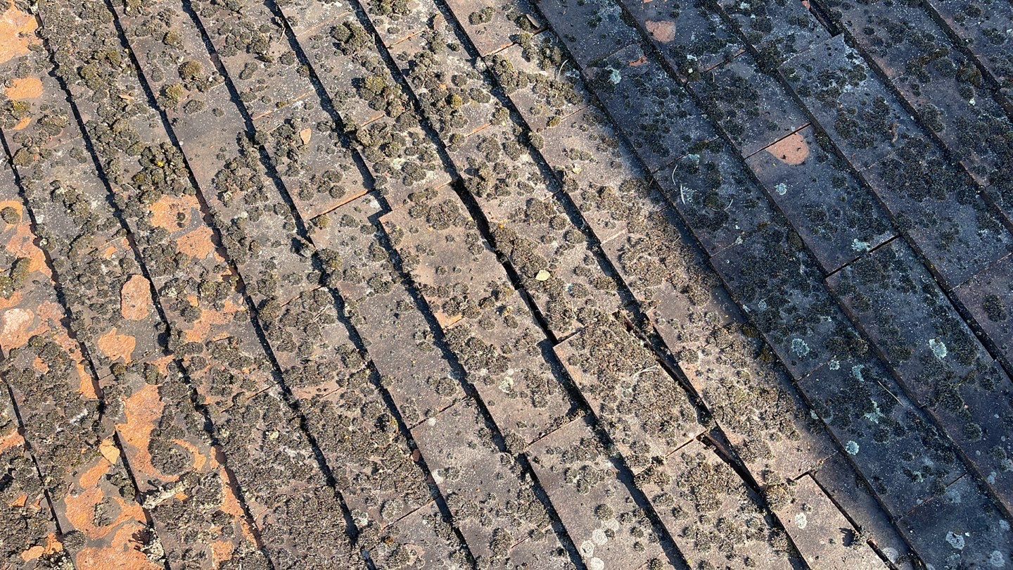 Roof Clean  - Moss Removal - Gutter Clean using Honda 15lpm Low Pressure Washing Machine by Ges Exterior Cleaning ltd