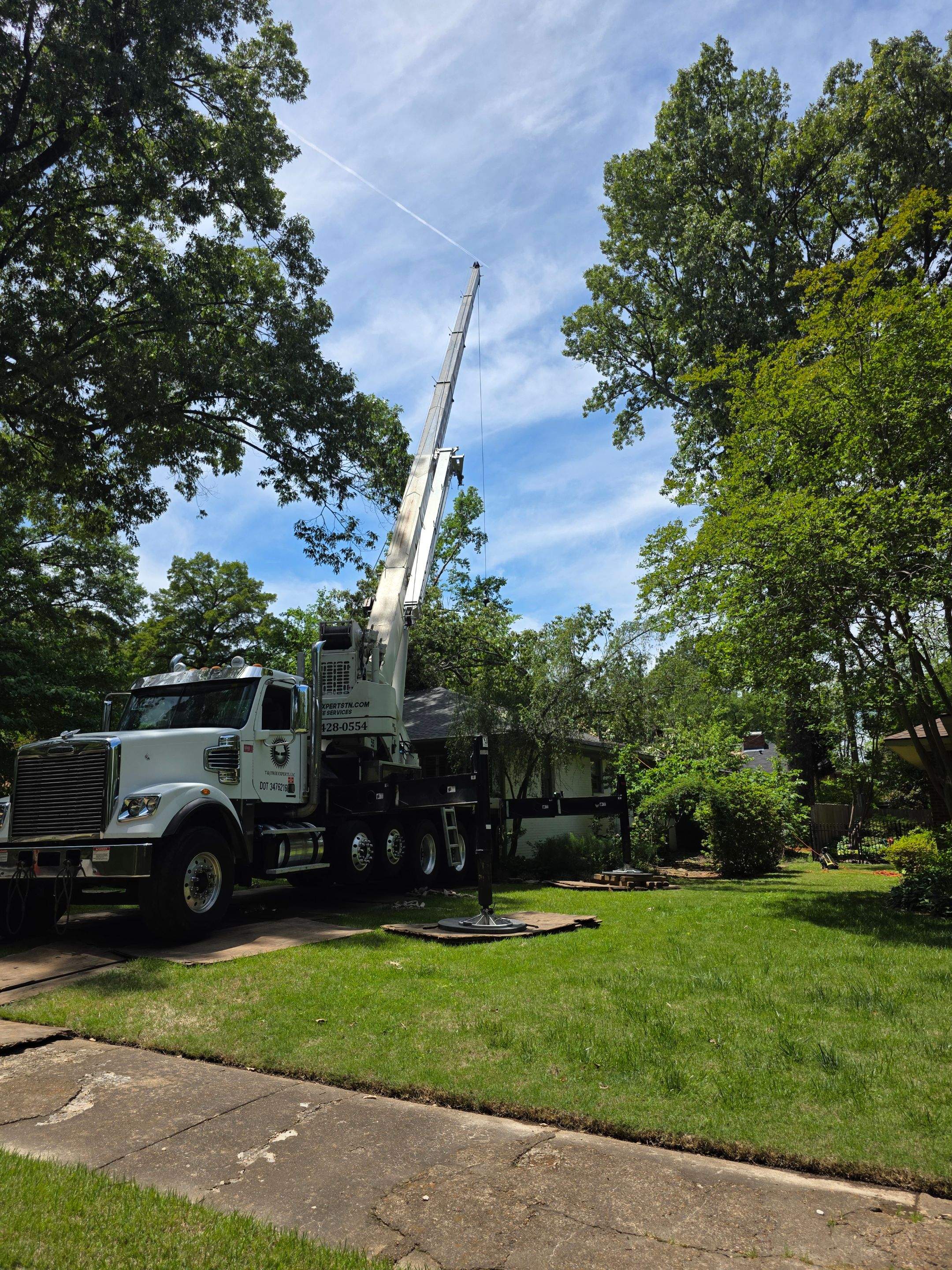 Tree Damage Restoration and Asphalt Shingle Roof Replacement in Memphis by Revival Roofing Services