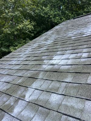 Project in Louisa