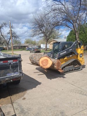 Tree Removal