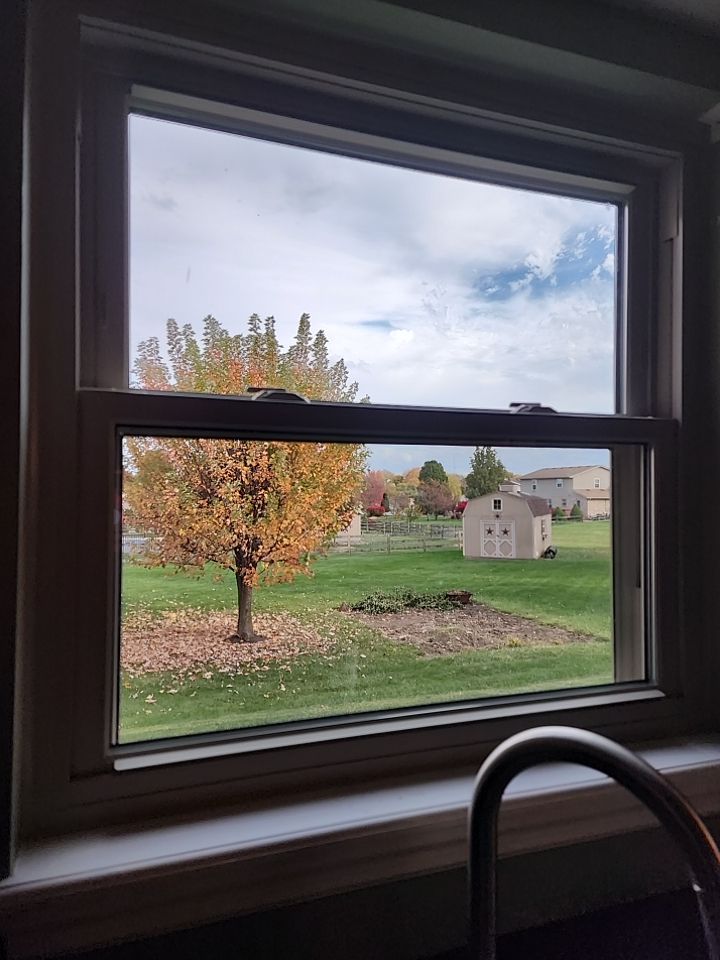 Roof and Windows! by Tamlin Roofing