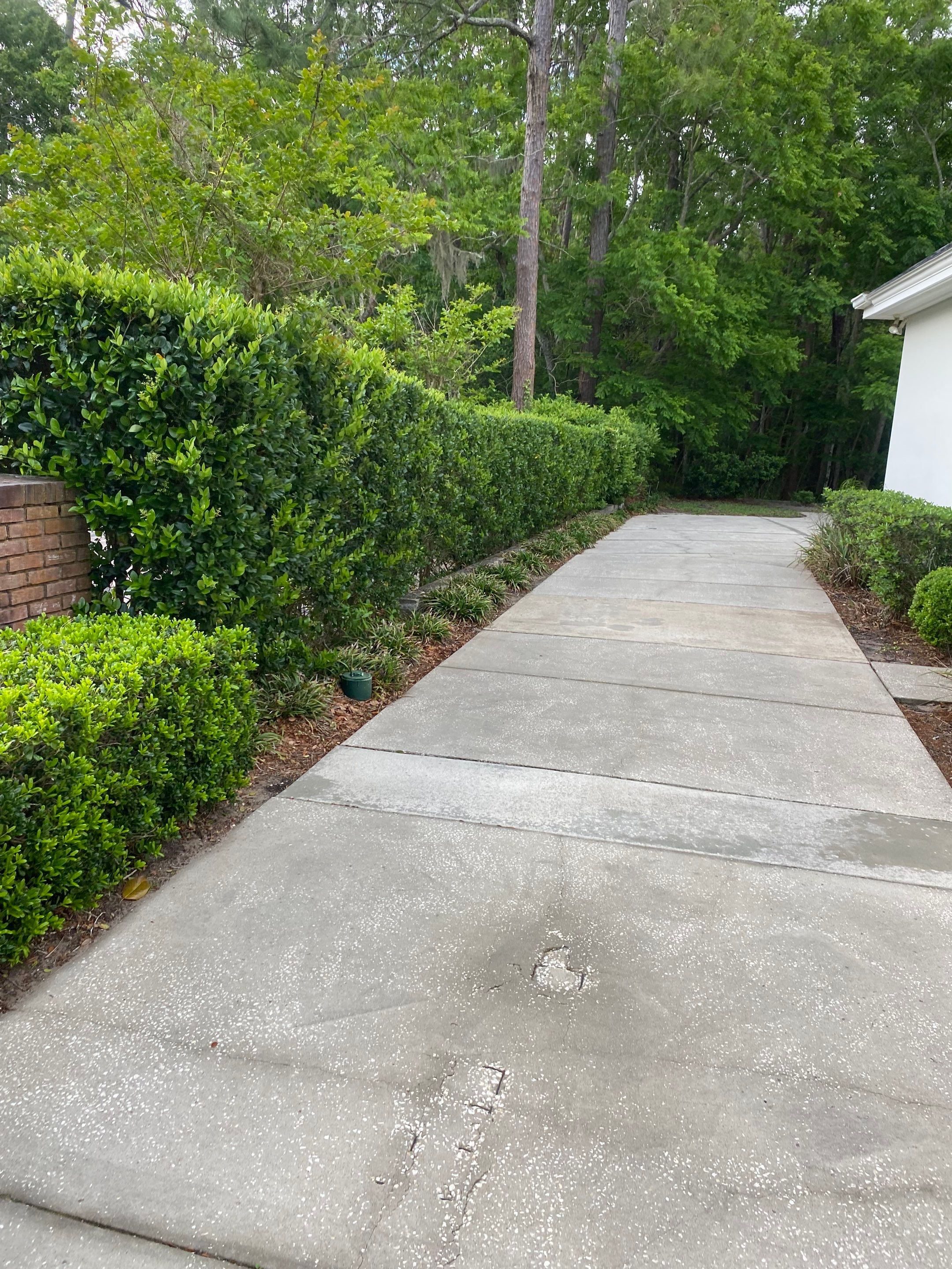 Deerwood Resident | Pine Straw Installation by ProGreen Services
