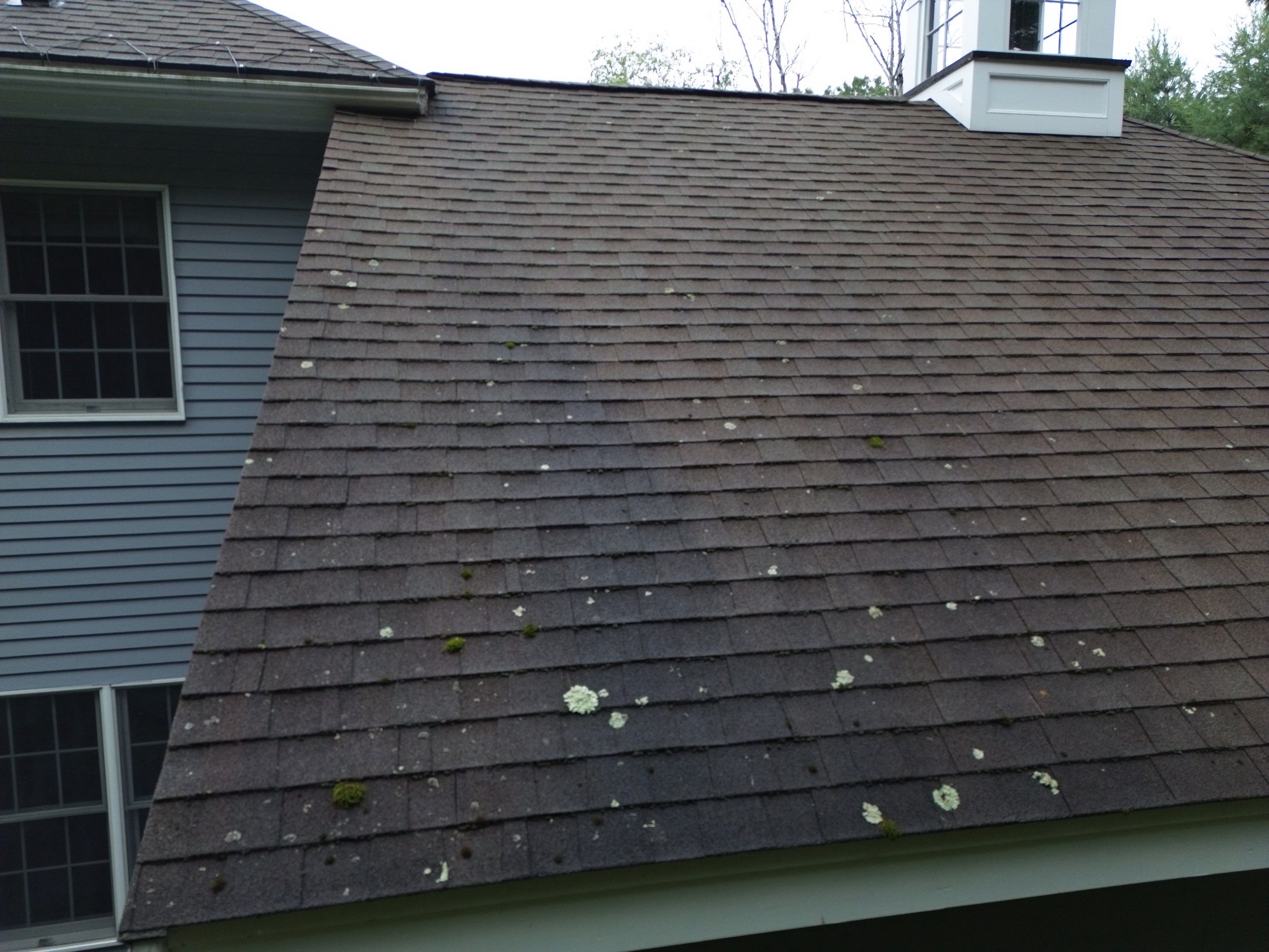 Roof Replacement & Gutter System Upgrade in Westford, MA by Mighty Dog Roofing of Greater Middlesex County