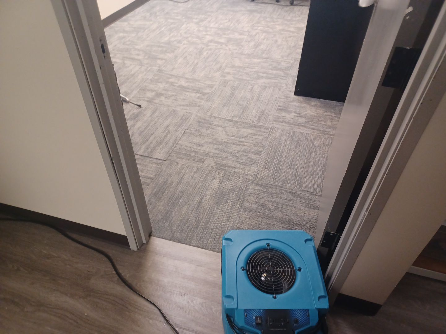 Project in Warren by EzDry Water Mitigation & Property Restoration