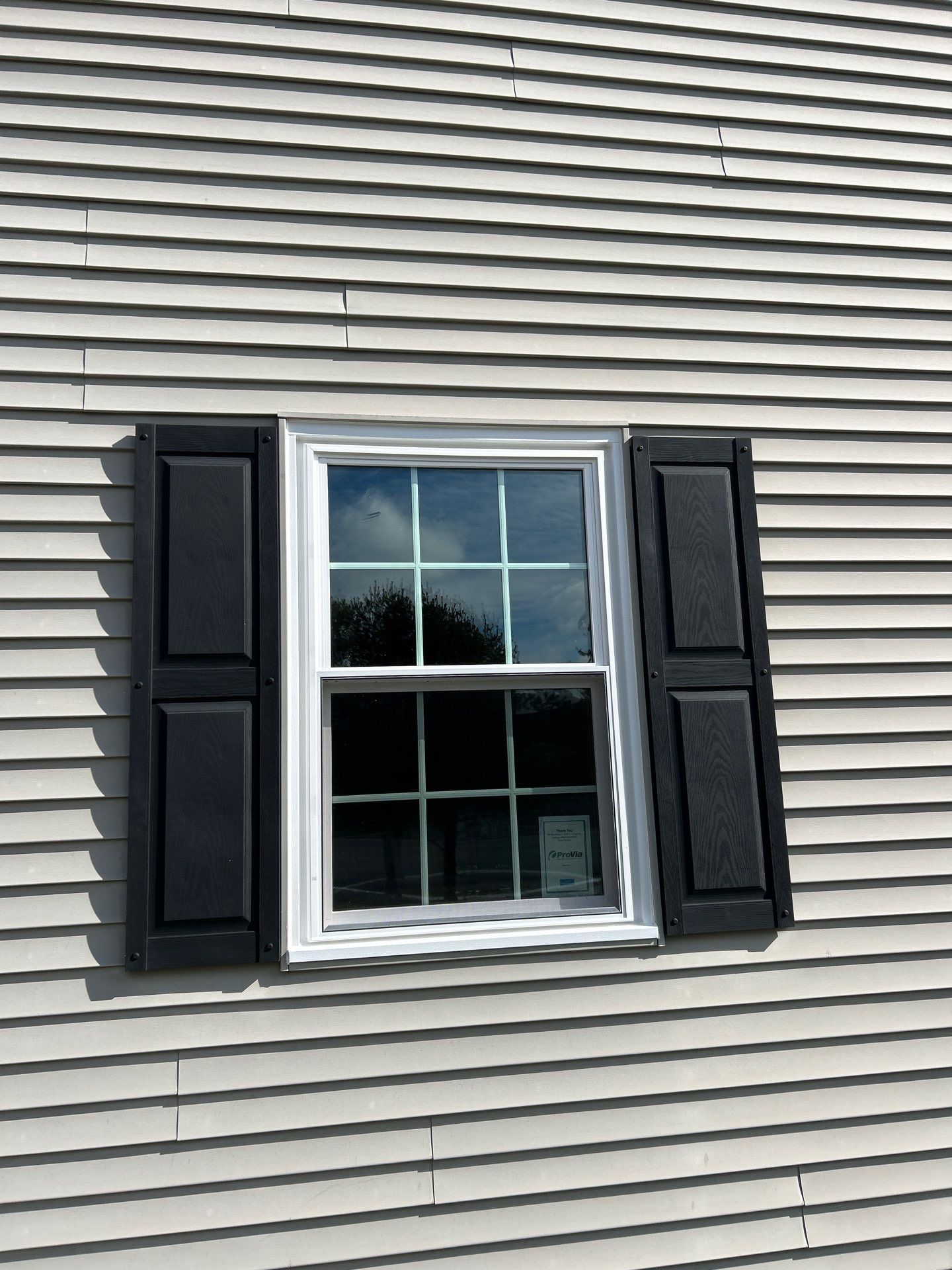 Windows in Louisville by Ohio State Windows