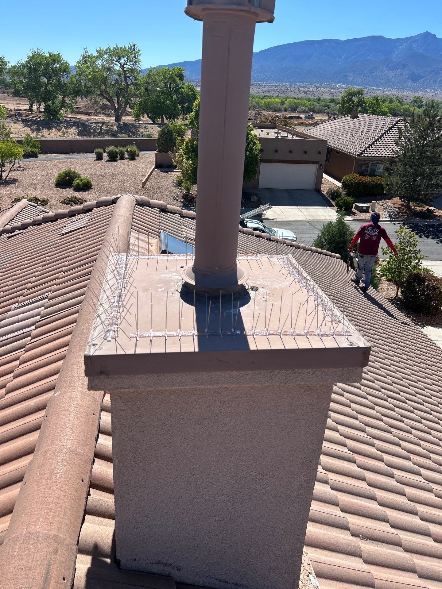 Bird Deterrent Installation in Bernalillo on concrete tile roof. by Doyle Roof Masters Inc