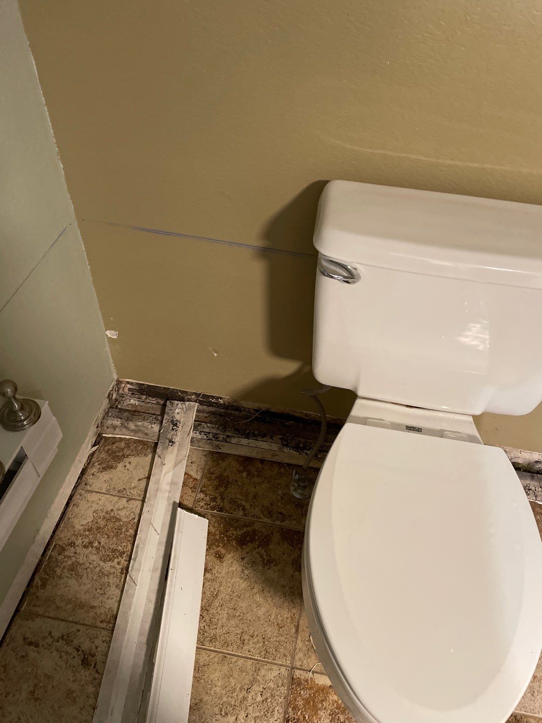 Water Damage and Mold Remediation by Accountable Home Services