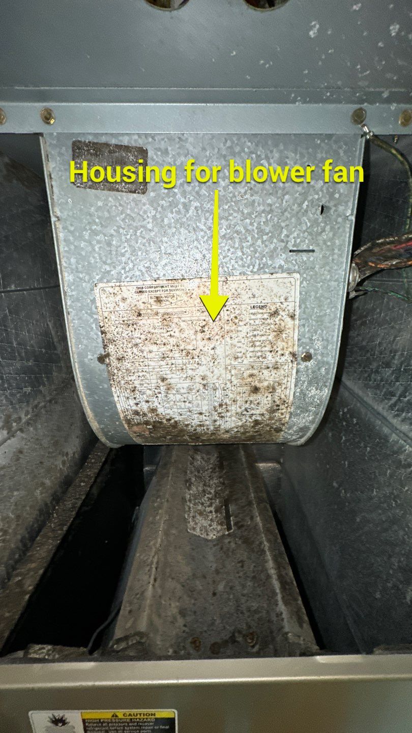 Air Duct Cleaning in Tavares by Hygienic Air, Inc