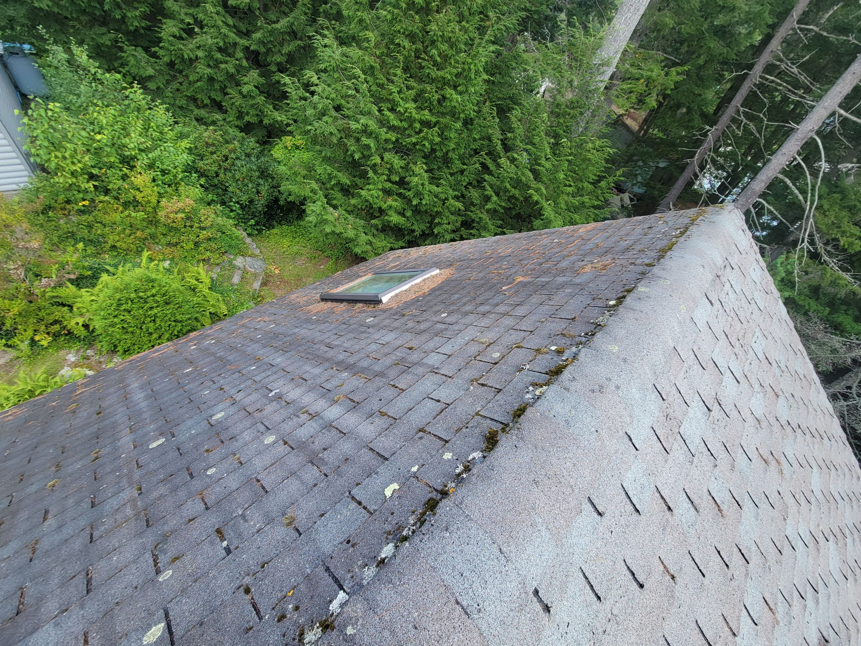 New Metal Roof using All Thats Metal 29g Currigated by The B.A.R Roofing