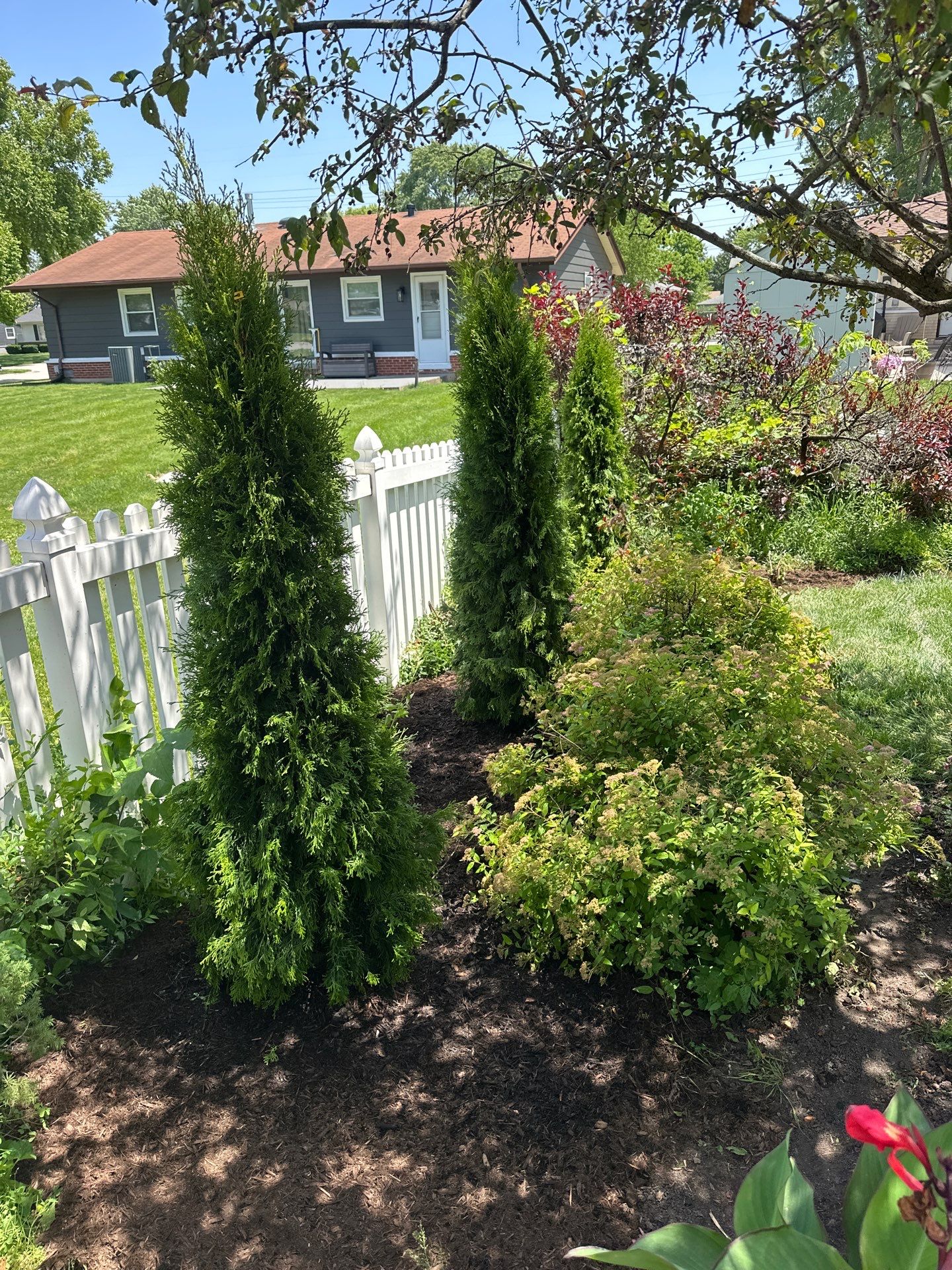Rudel B. - Elk Grove Village, IL by A&N