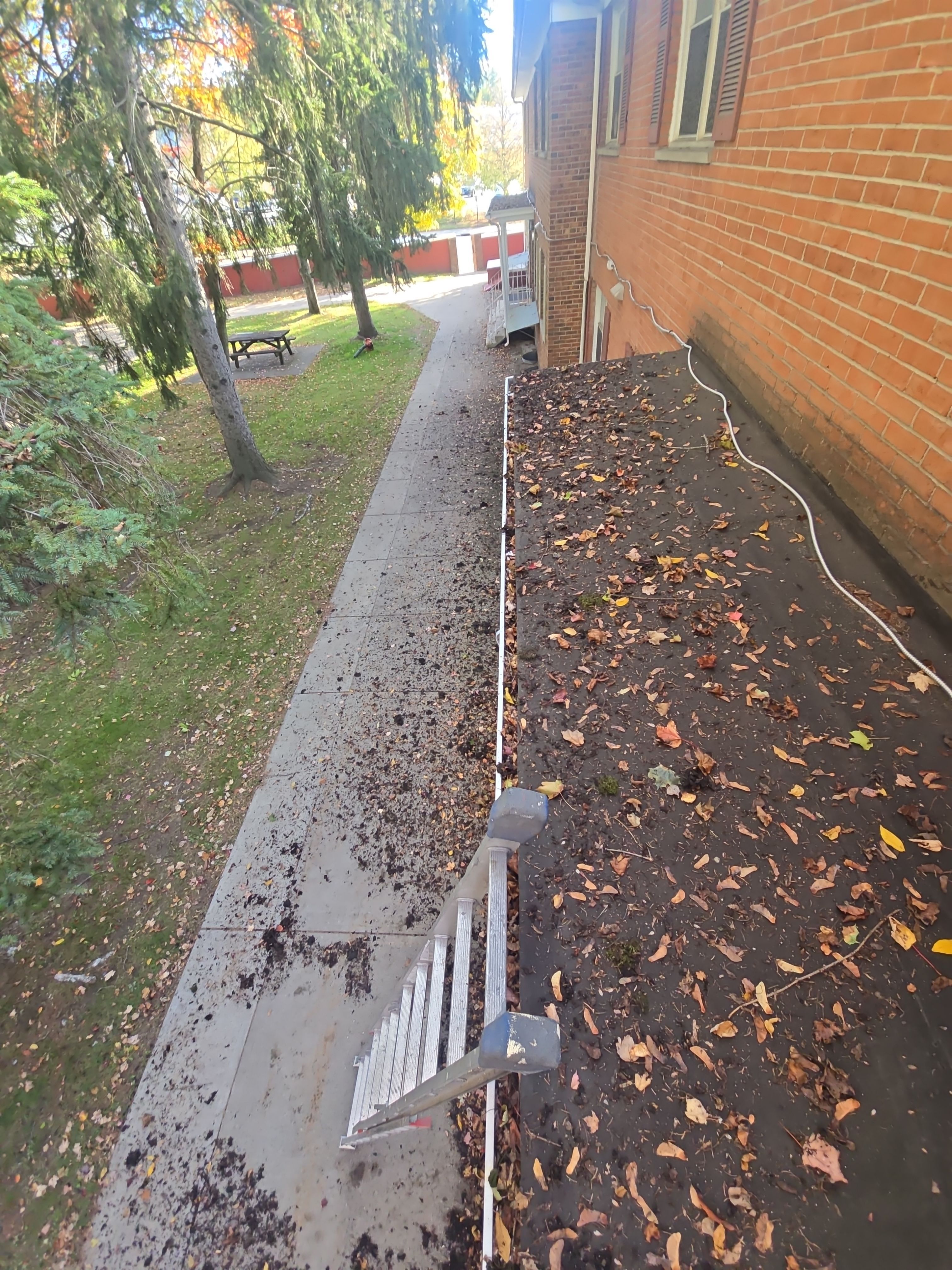 HOA gutter cleaning before photo