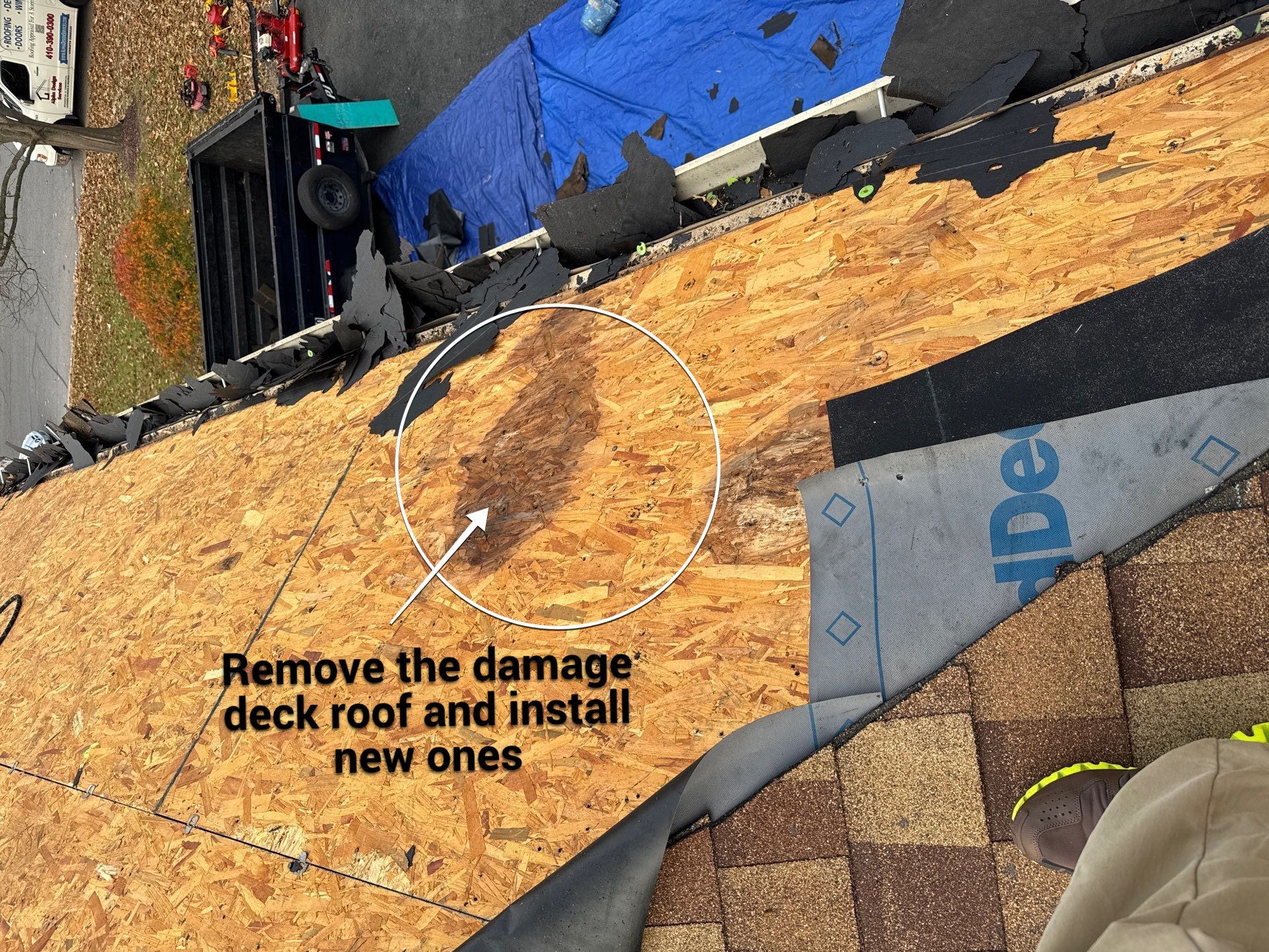 New Roof Replacement  by Alpha Design Services