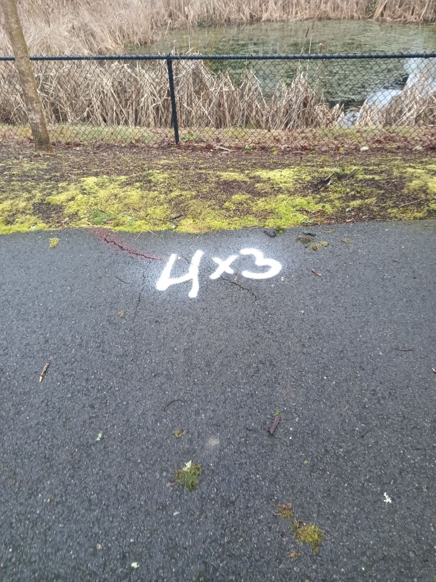 Asphalt Patch Repair | Auburn  by Jireh Asphalt & Concrete Inc 
