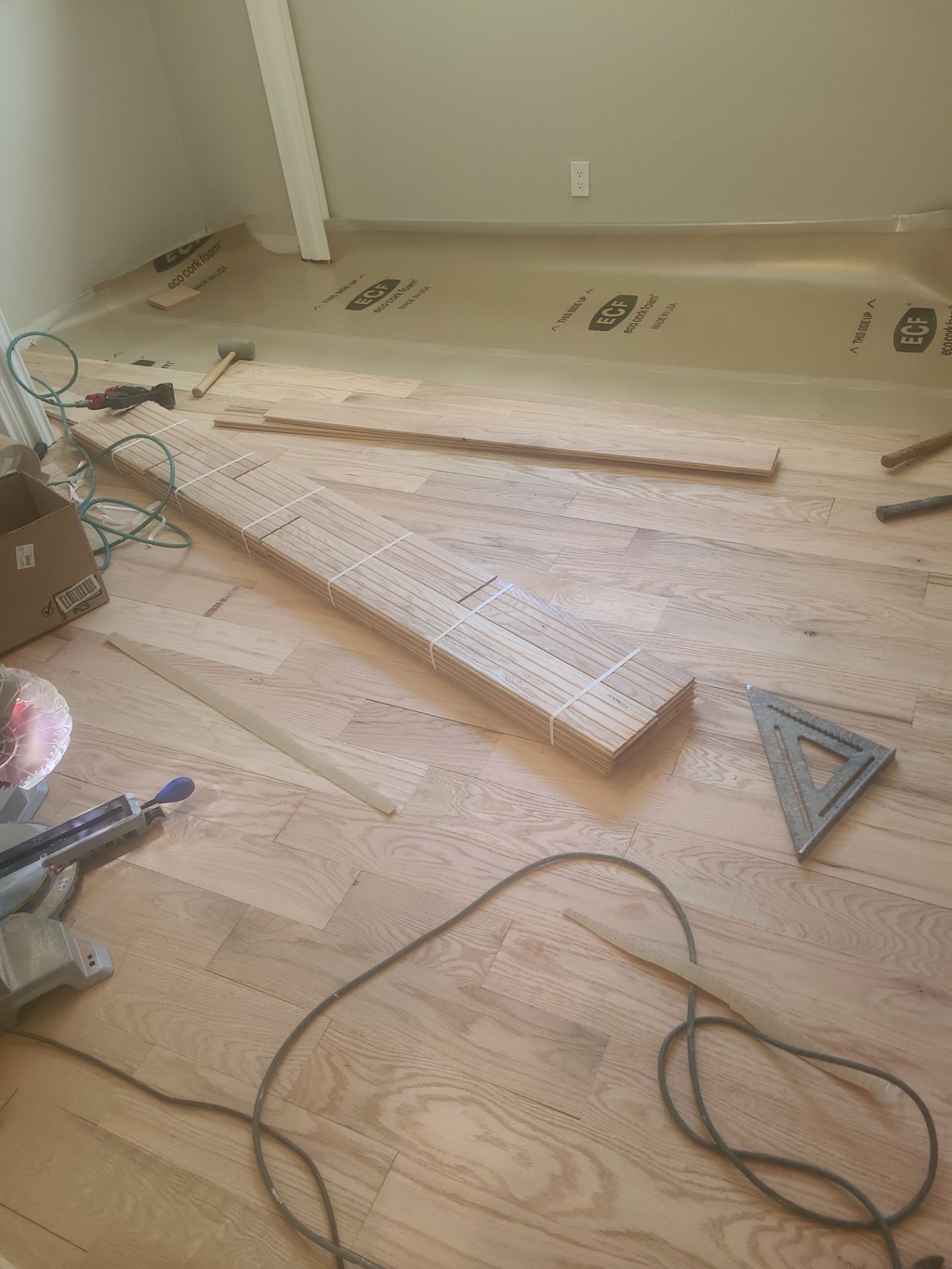 The Napolitano Family by SophAlx LLC