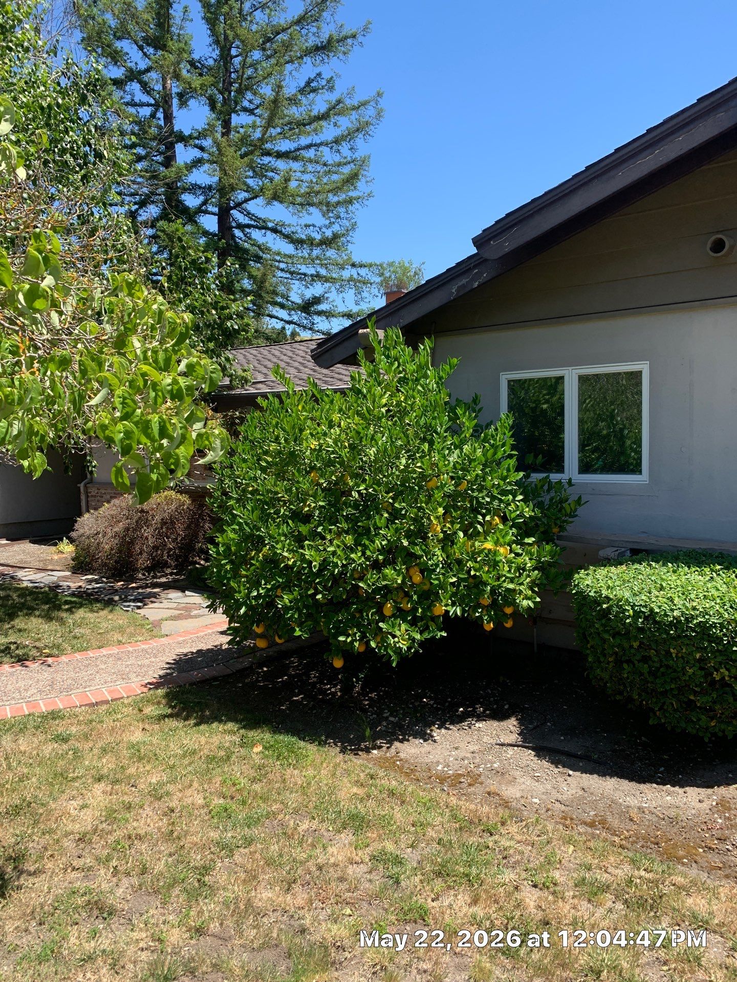 Project in Moraga, CA by Next Level Painting Pros