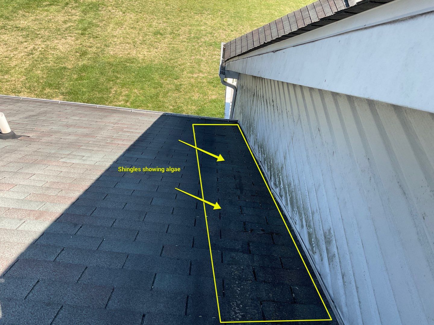 Residential Roofing Installation by Alpha Design Services