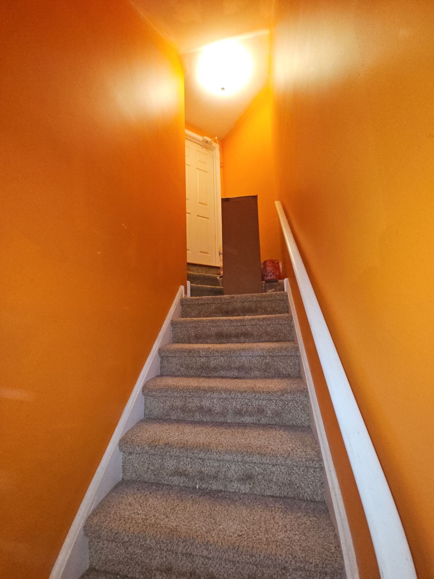 Ace Pro Painters featured photo.
