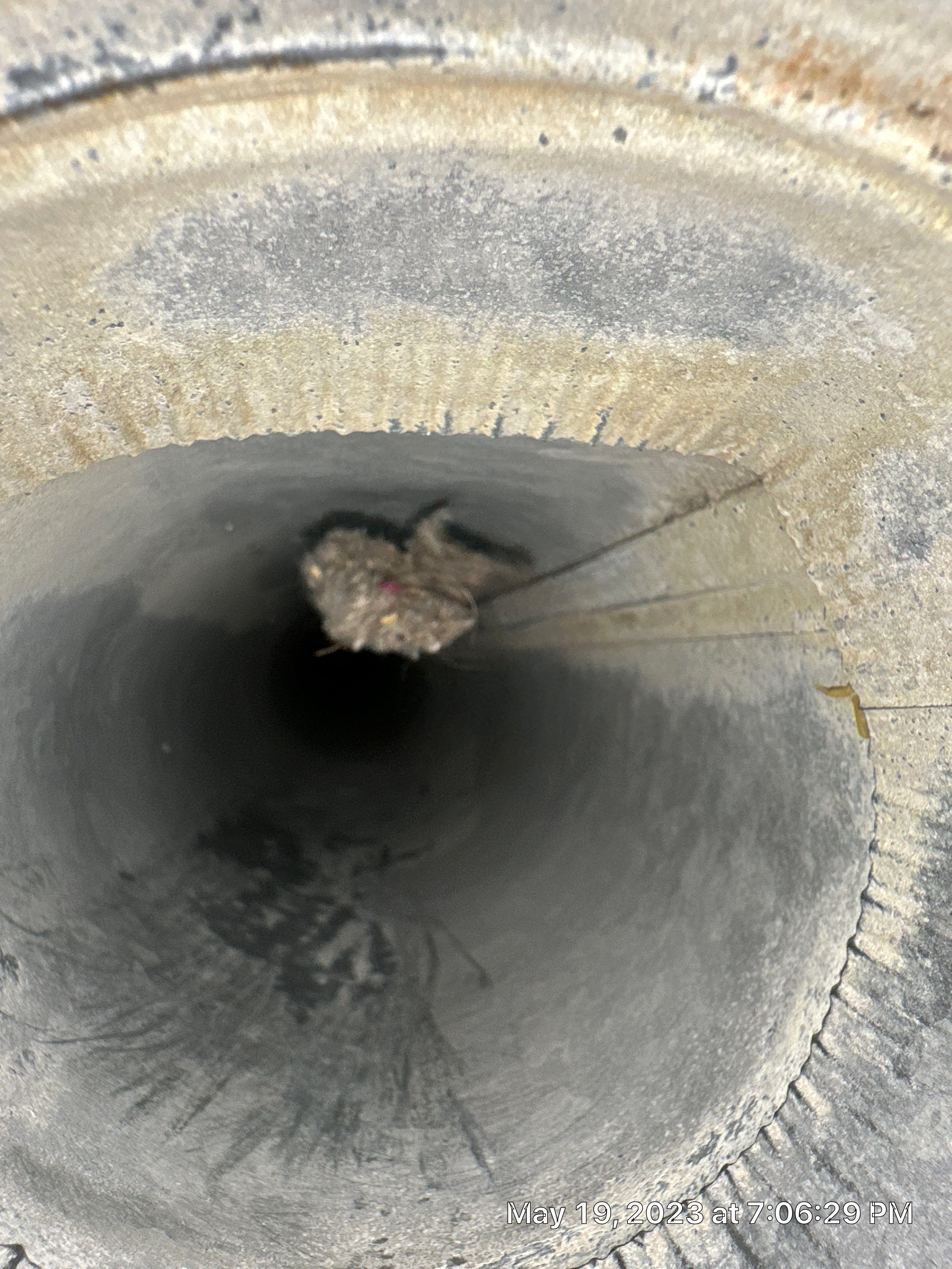 HVAC Restoration using HVAC Restoration Equipment  by TIES360 Air Ducts Plus