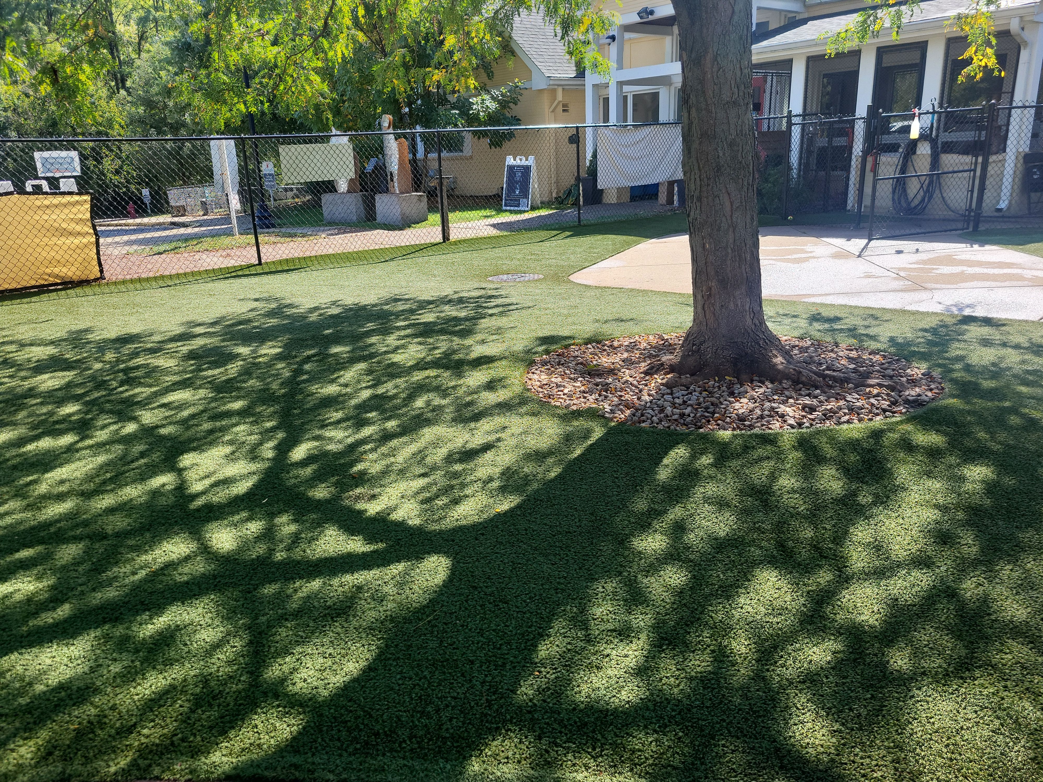 Synthetic Pet Lawn for Indy Humane by Southwest Greens Midwest