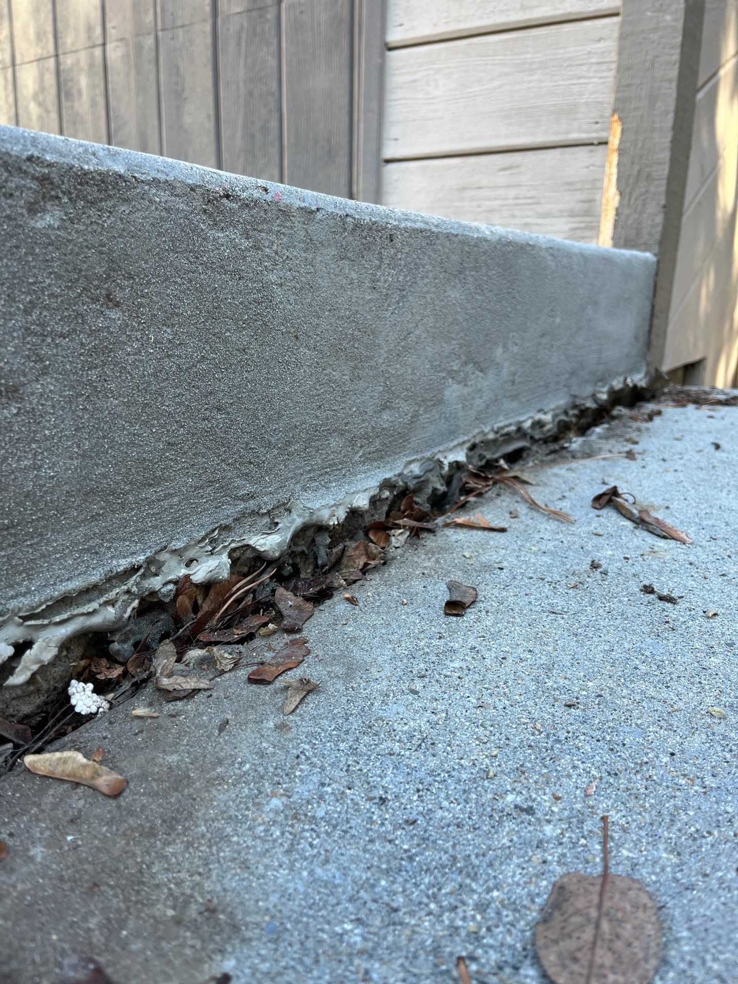 Step Repair for Jeff by Mr. Mudd Concrete