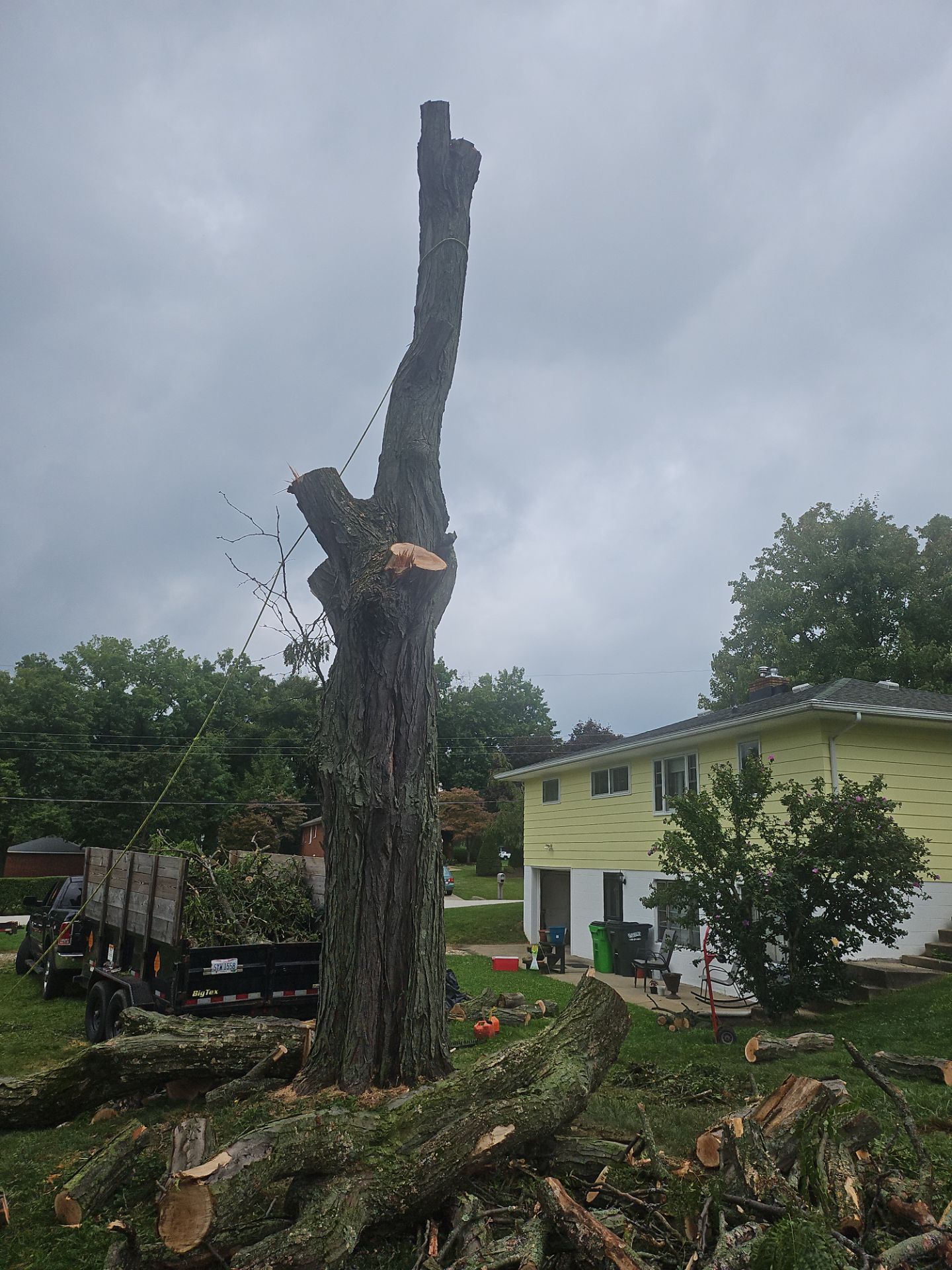 Tree Removal using Tree Removal by Mike Jones & Sons Tree Service LLC 