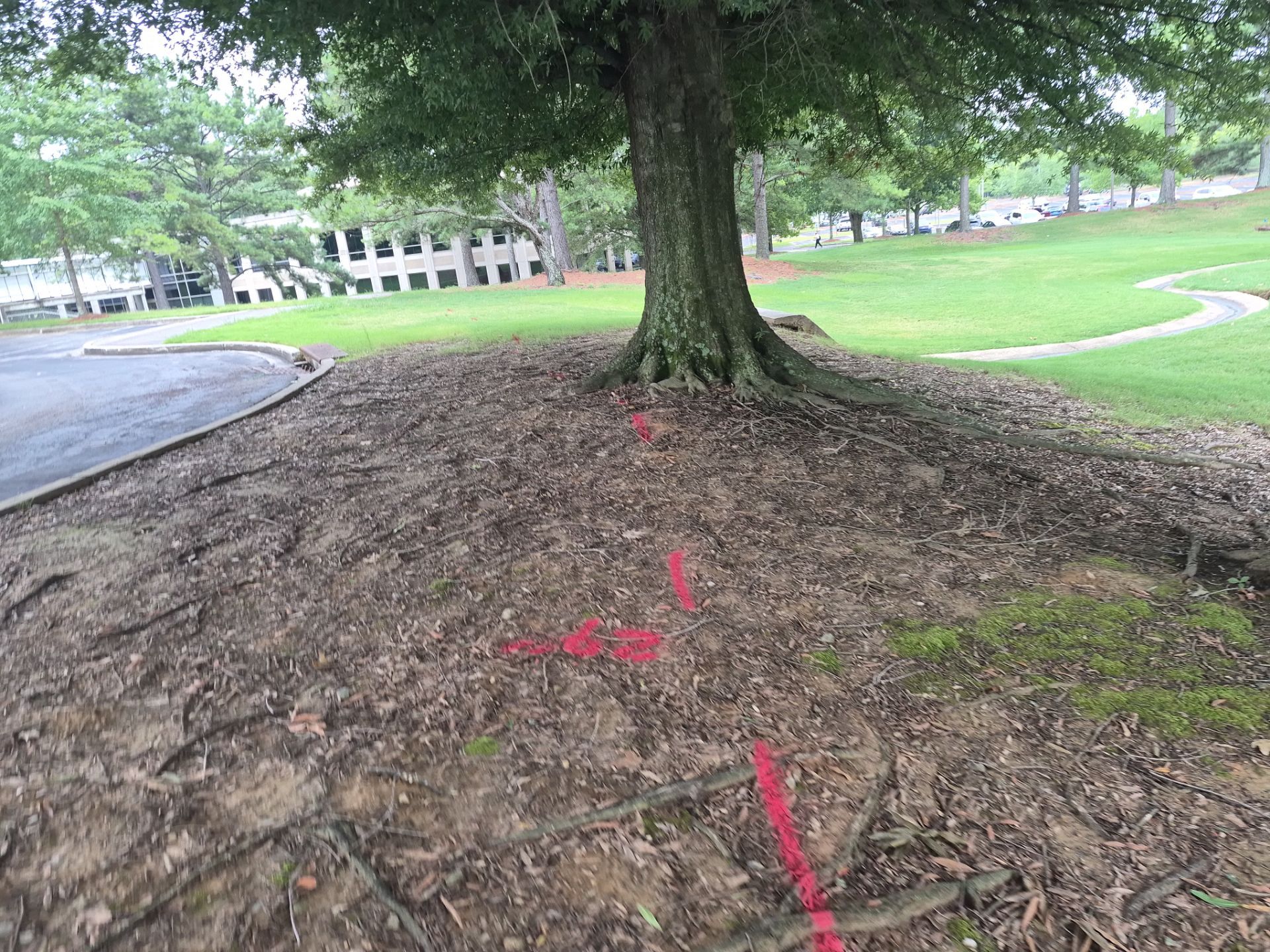 Private Utility Locating and Marking for Collierville Commercial Campus by Alsip Locating Service, LLC