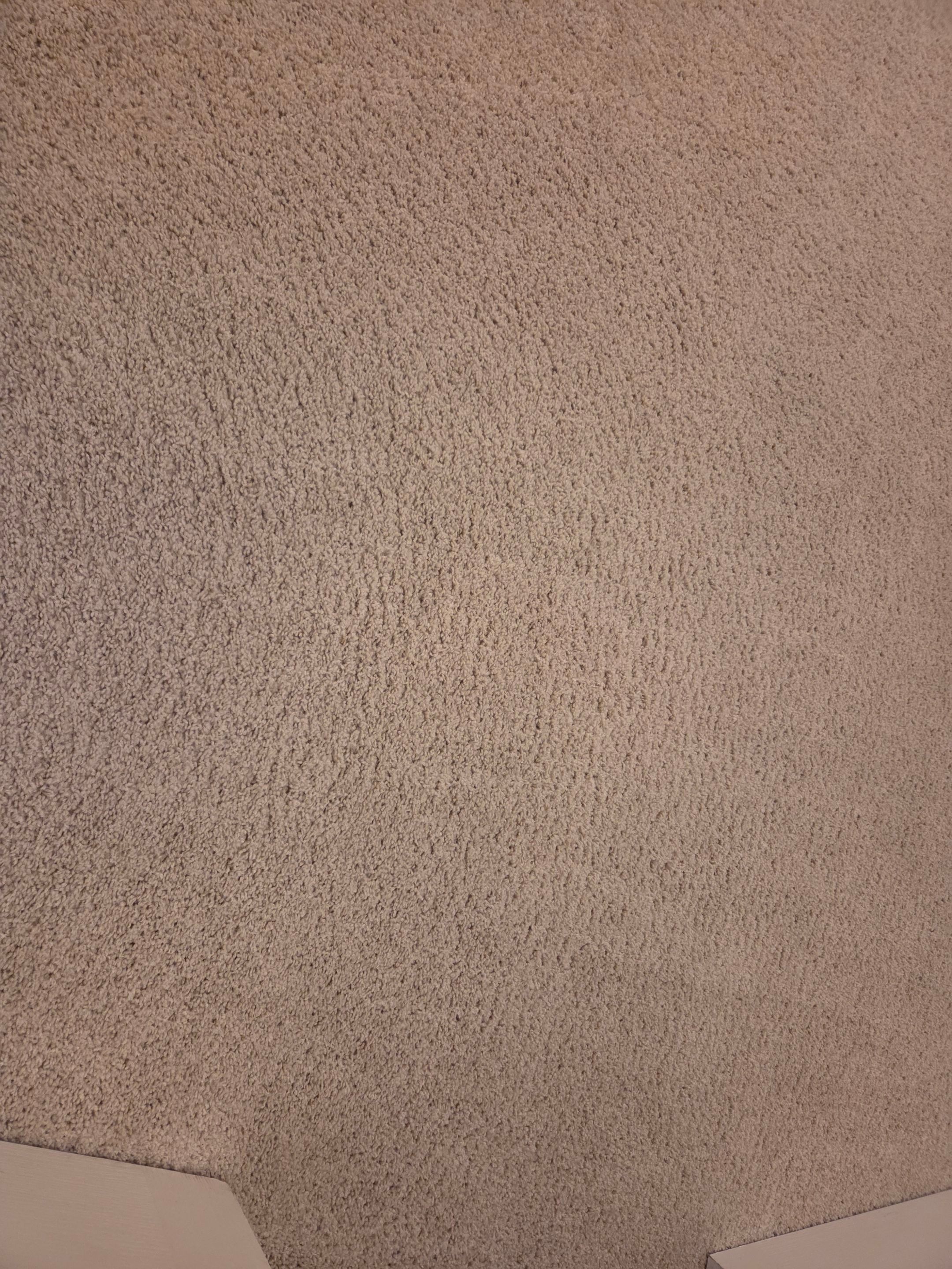 Carpet Cleaning and Stain Removal in Shingle Springs by Ardent Carpet Restore LLC