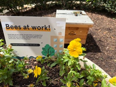 Apartment Retreat for Honey Bees in Garland