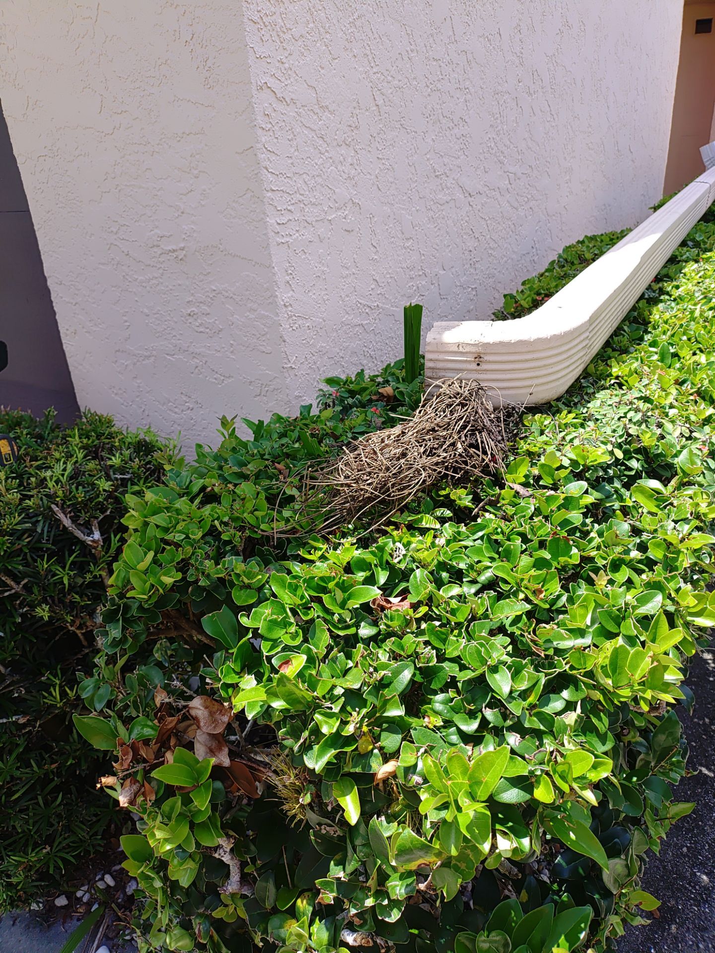 Bronze Gutter Installation in Sarasota FL by Gutter Professors